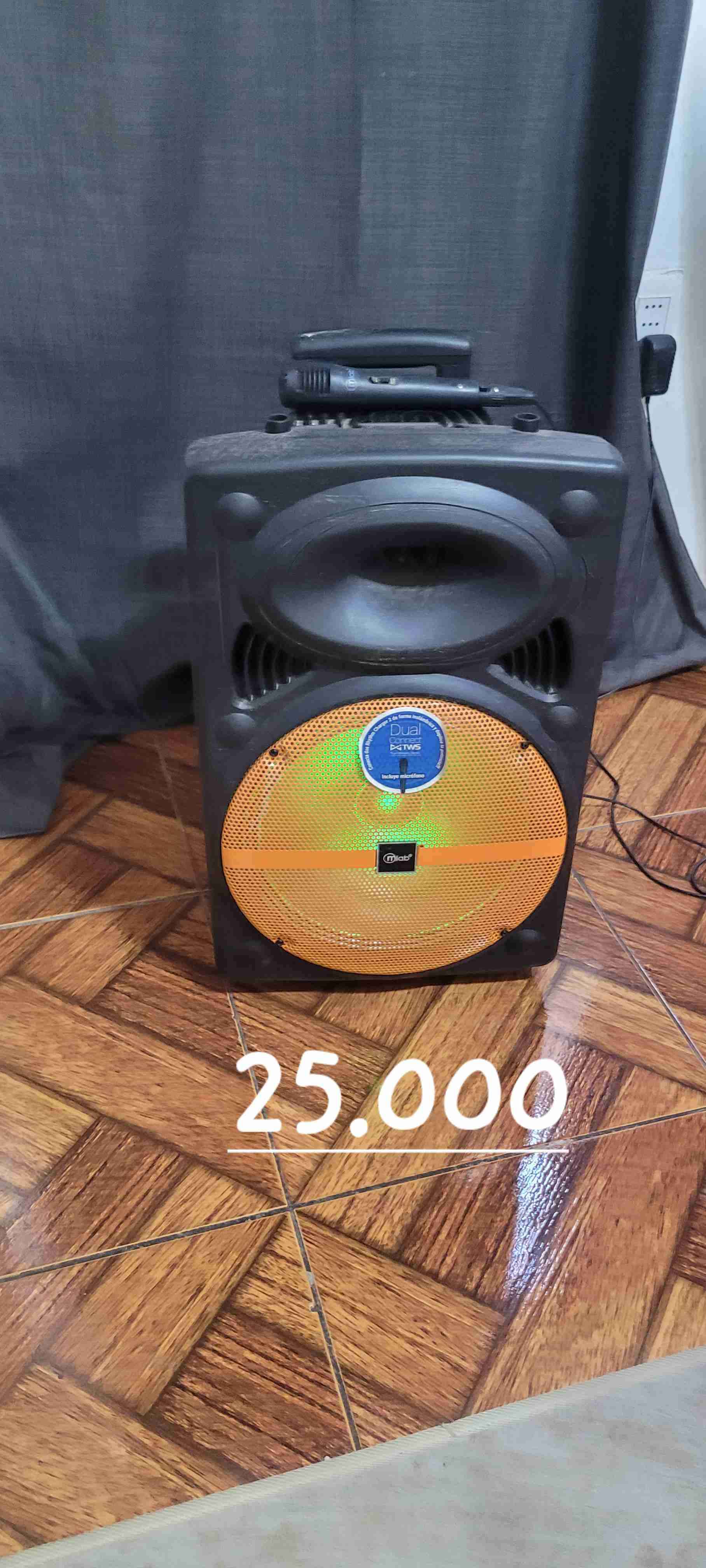 Parlante portátil con micrófono