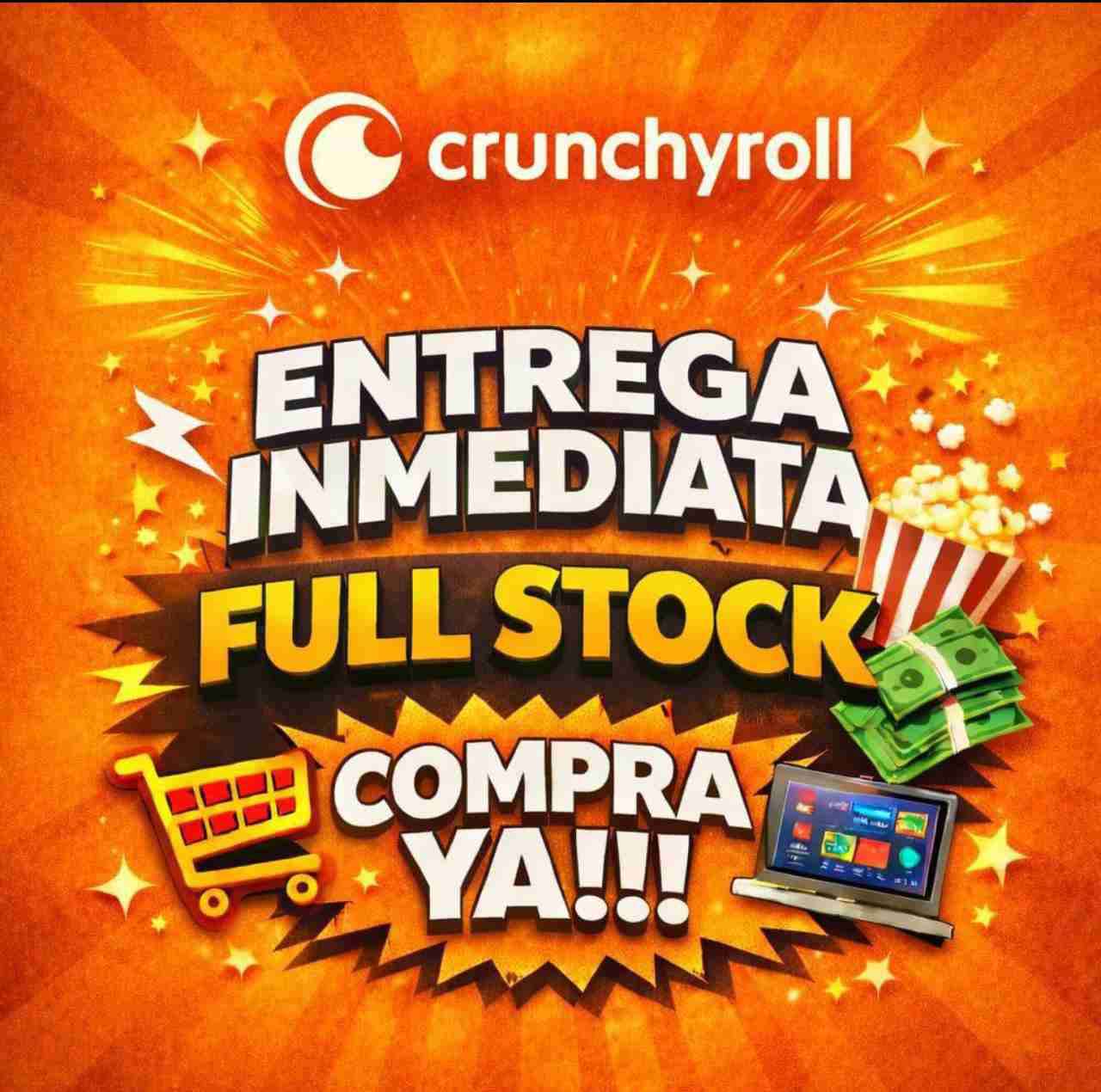 Servicio ip entrega inmediata - miniatura 6