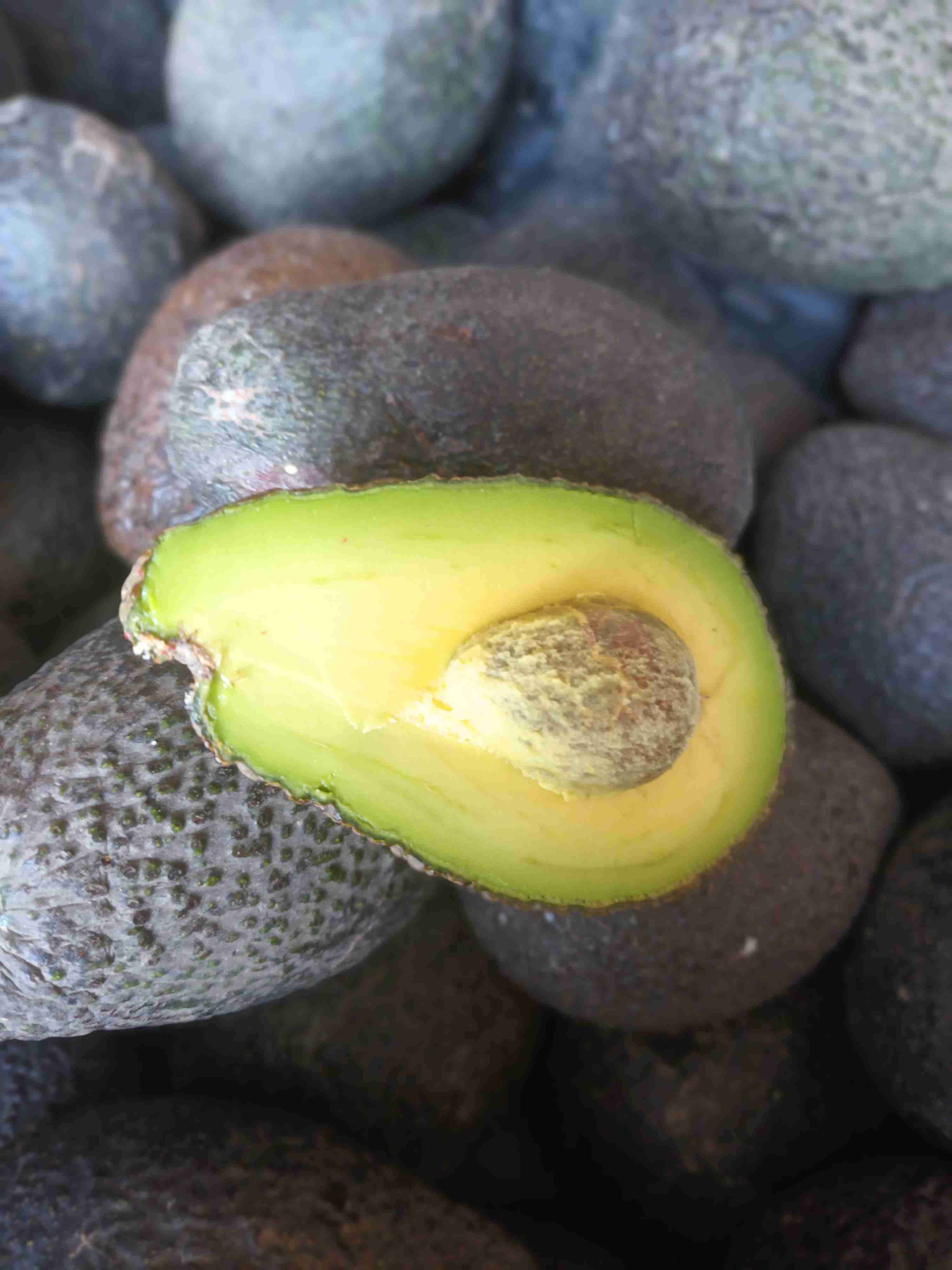 Palta hass chilena firmes natural sin frio - miniatura 3