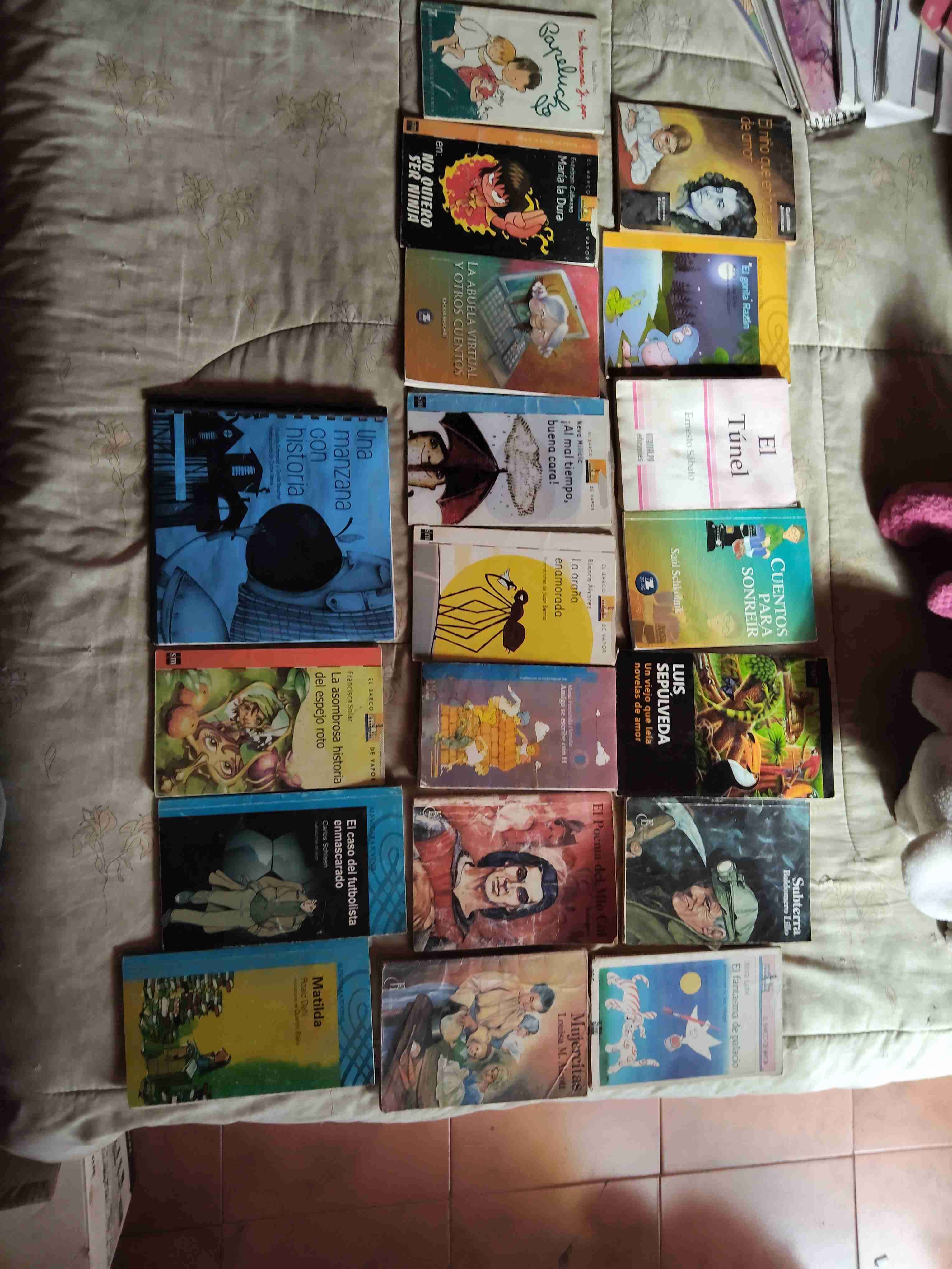 Lote de libros diversos