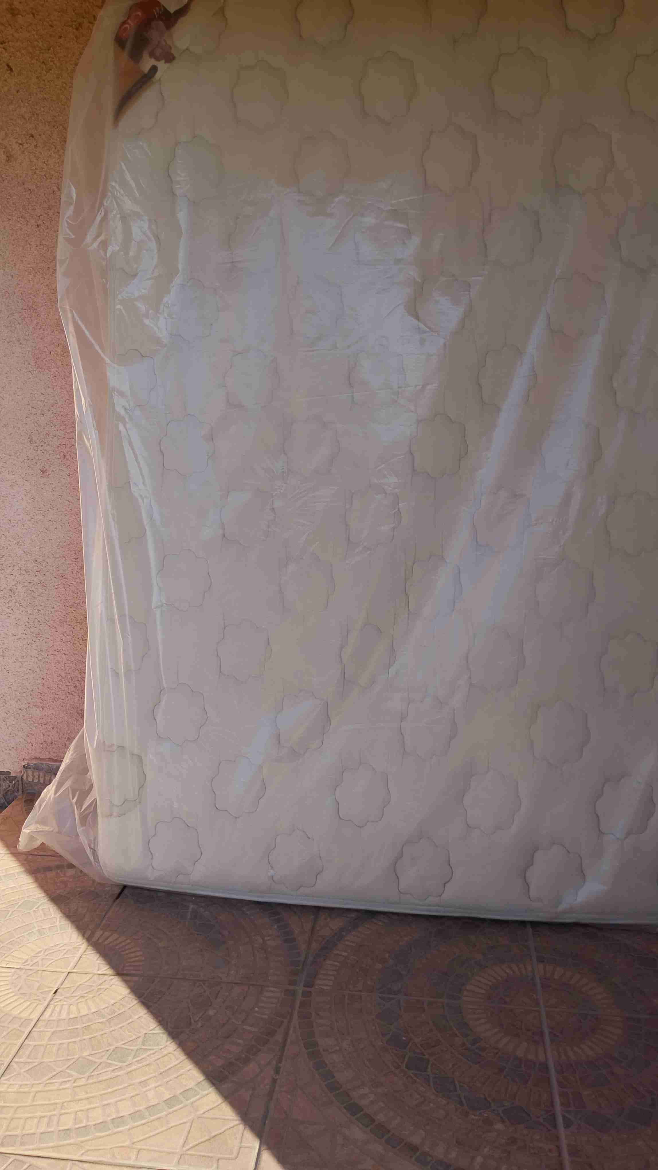 Cama matrimonial 2 plazas con colchón usado. - miniatura 3