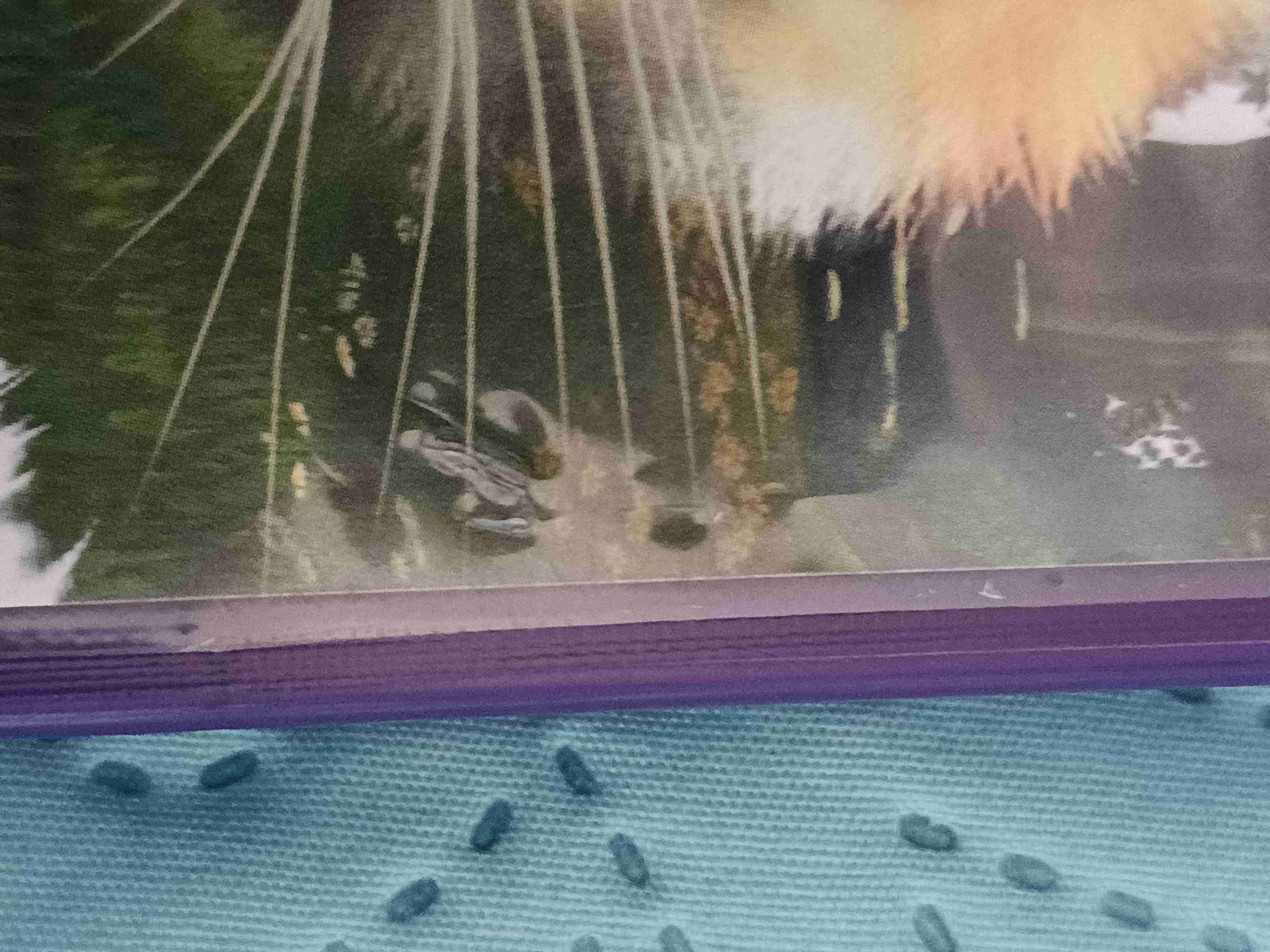 Xbox 360 Kinectimals - miniatura 5