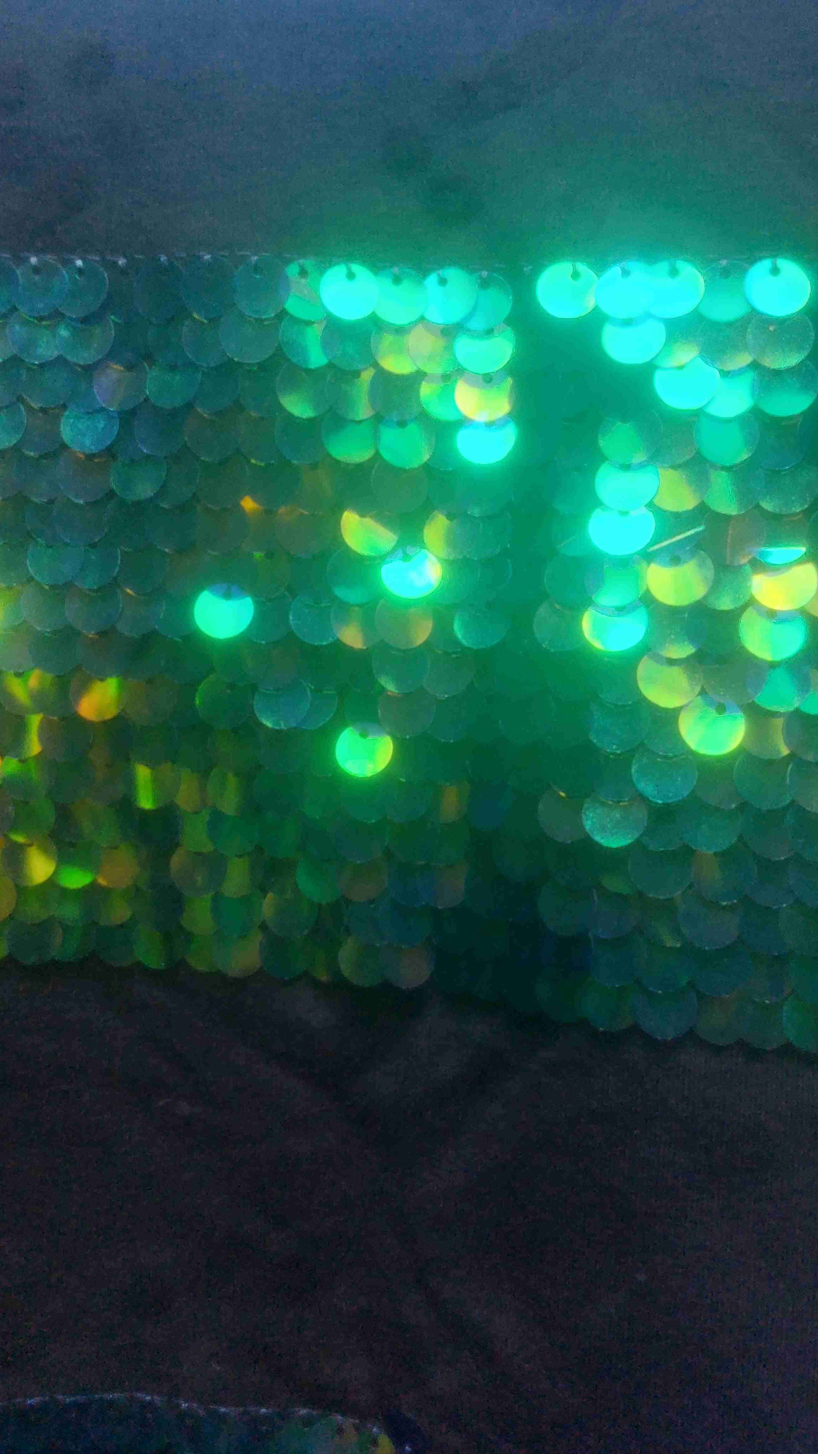 Polerón con lentejuelas verde - 3