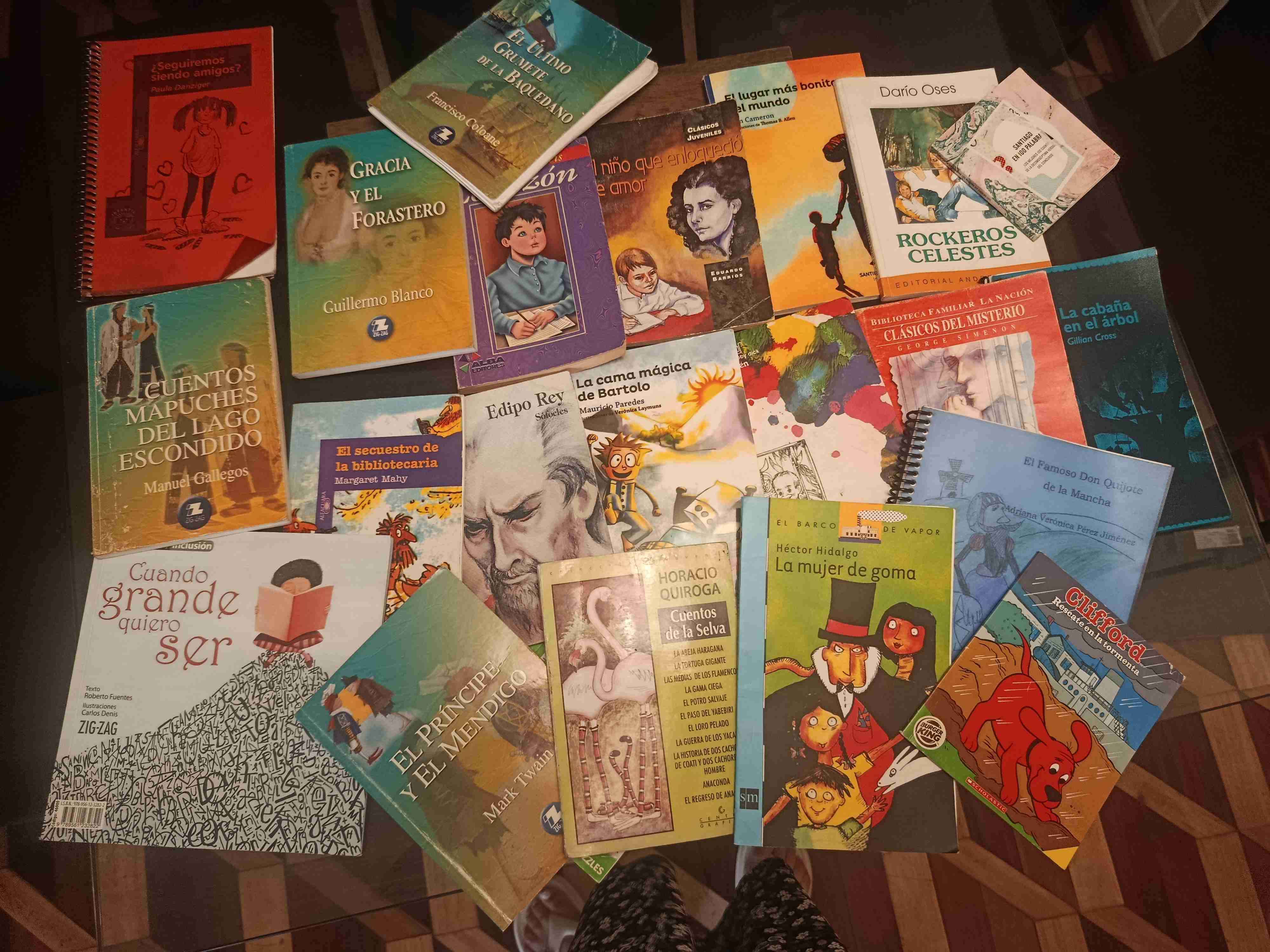 Lote de libros infantiles variados