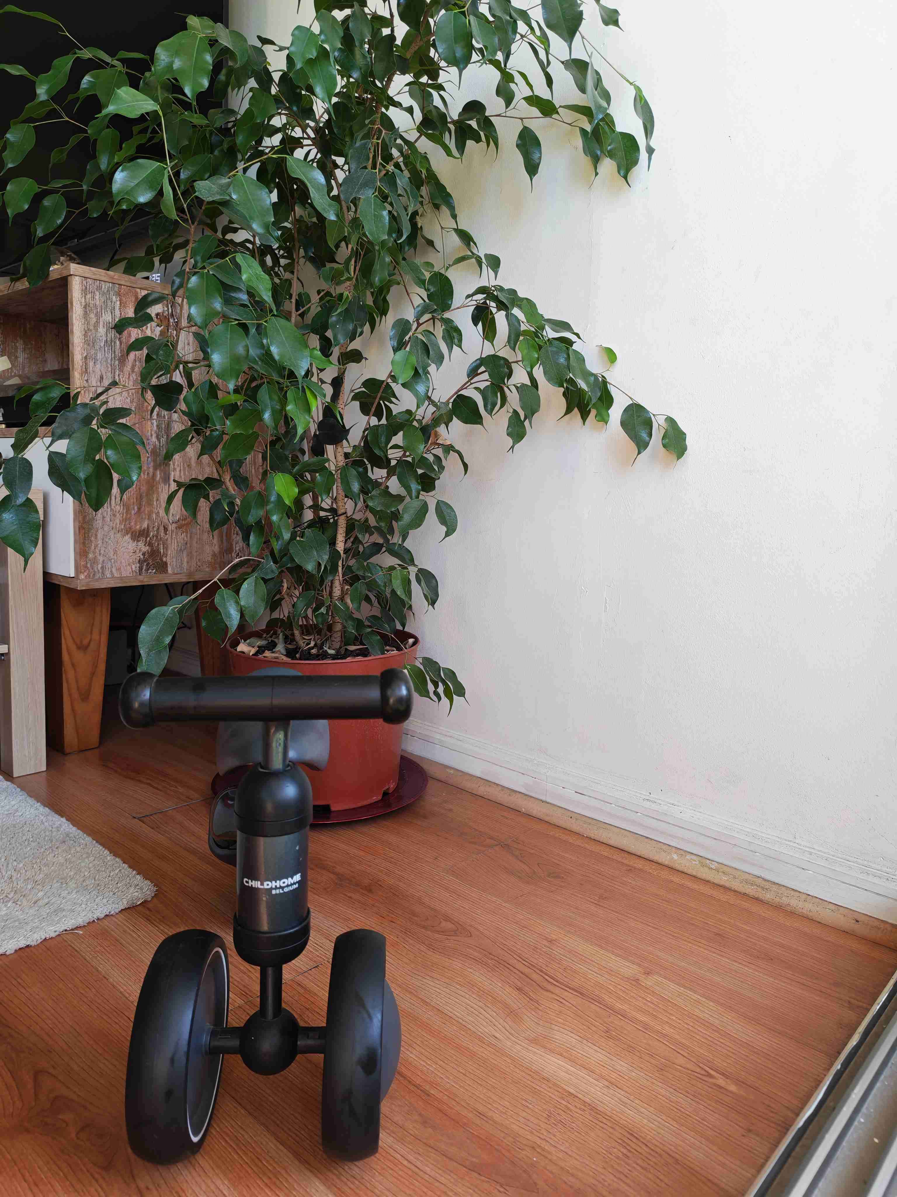 Triciclo para niños Vrooom de origen Europeo - miniatura 3