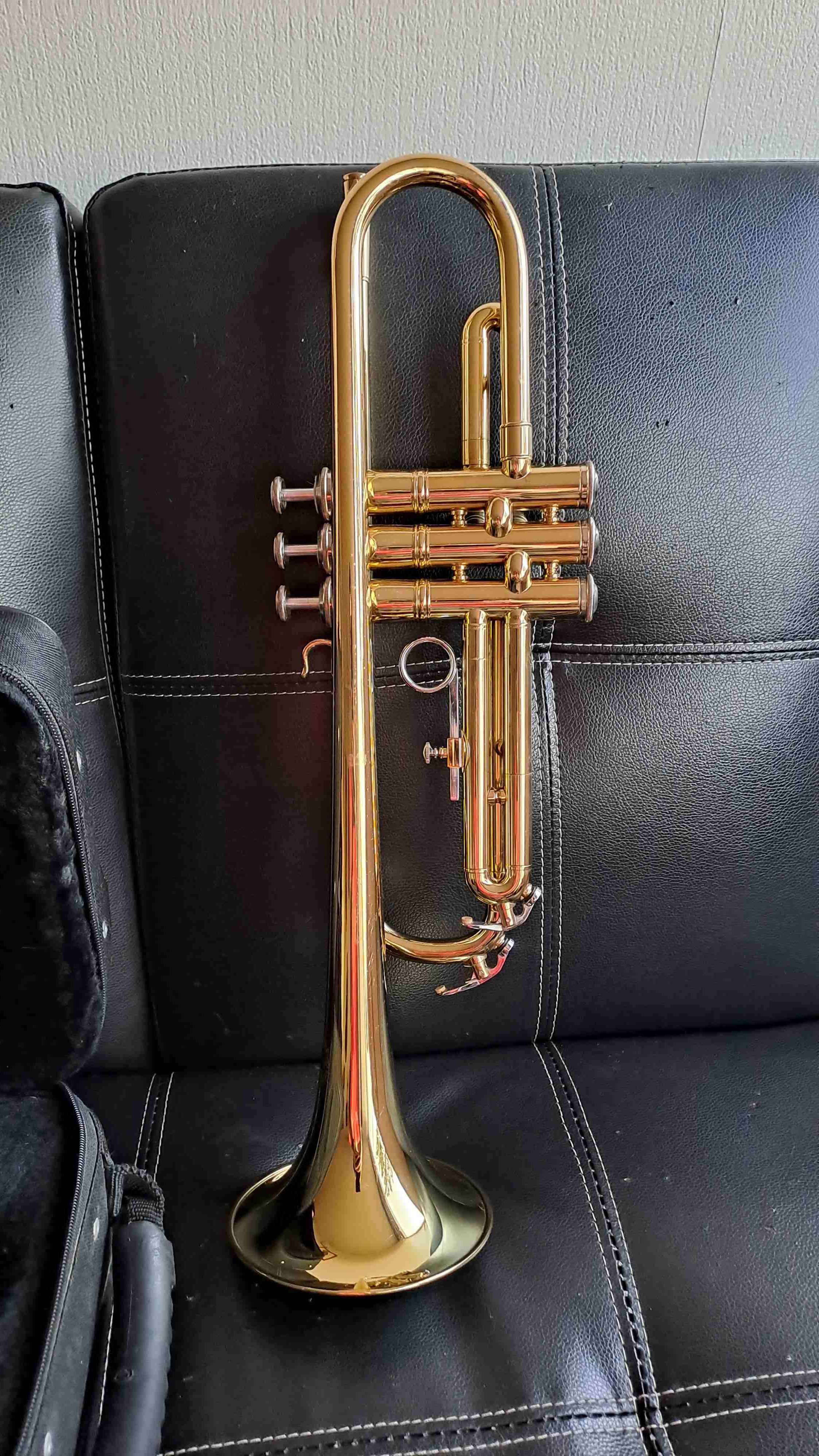 Trompeta dorada Omega con estuche - 1