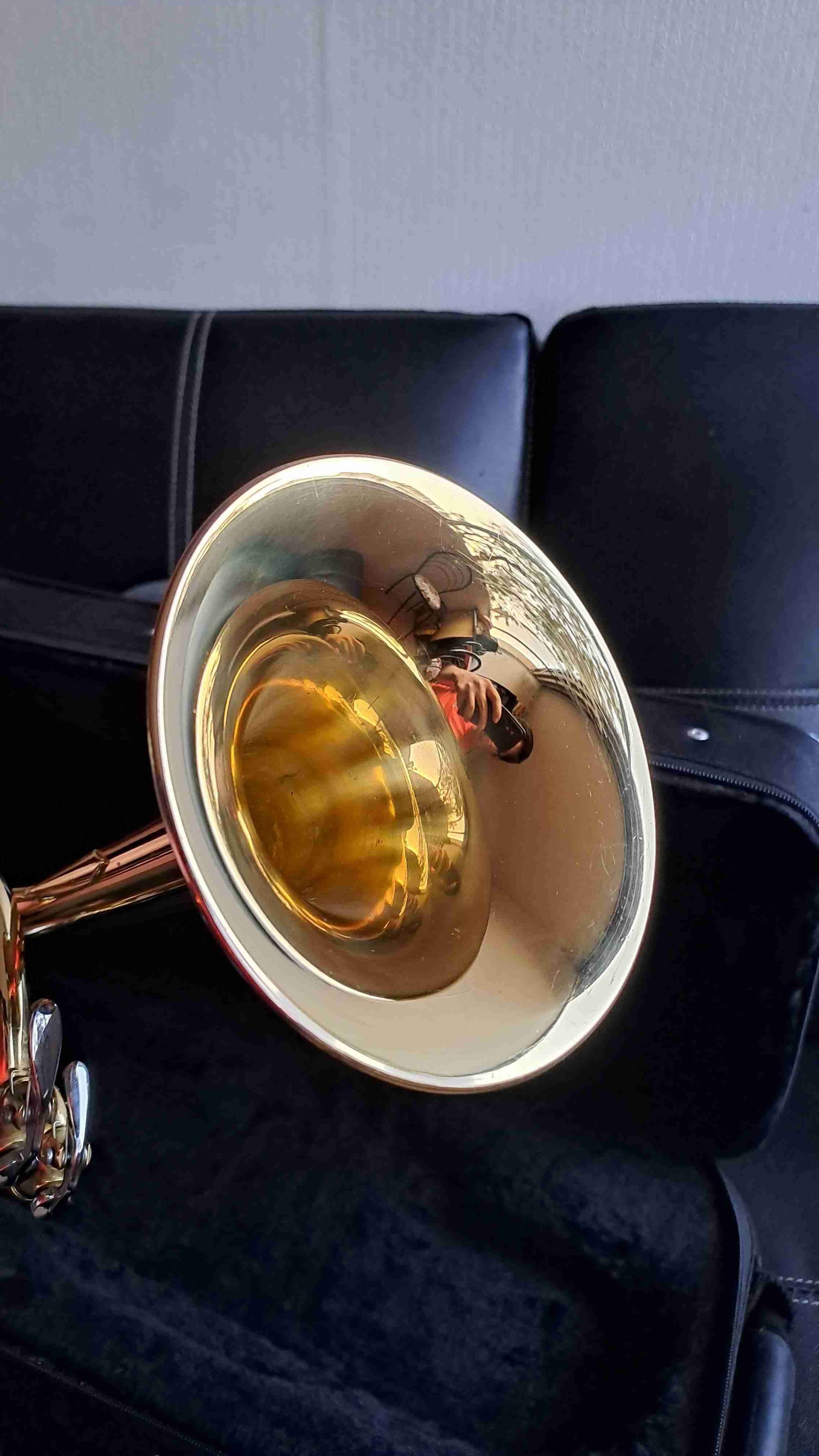 Trompeta dorada Omega con estuche - 3