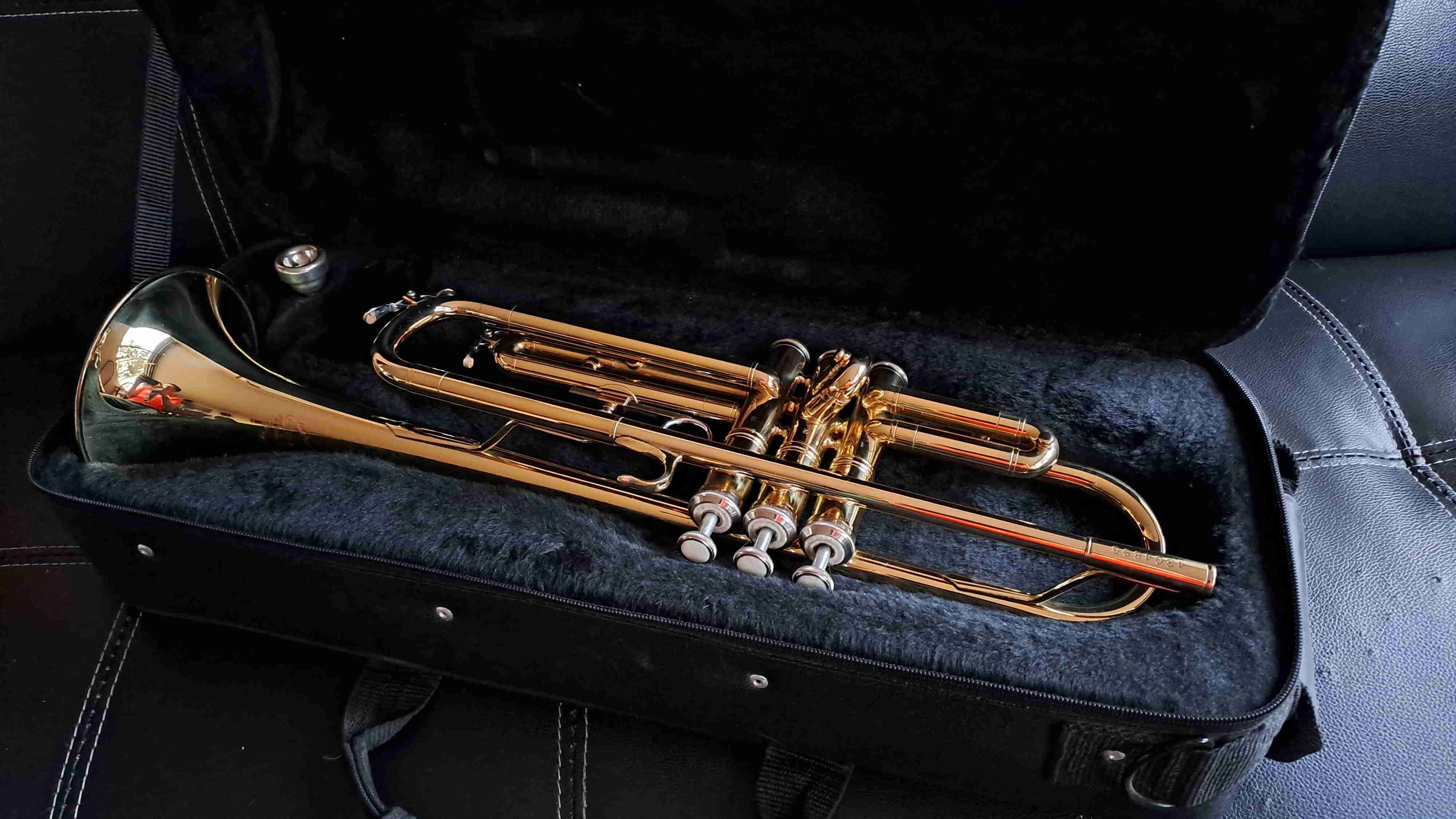Trompeta dorada Omega con estuche - 5