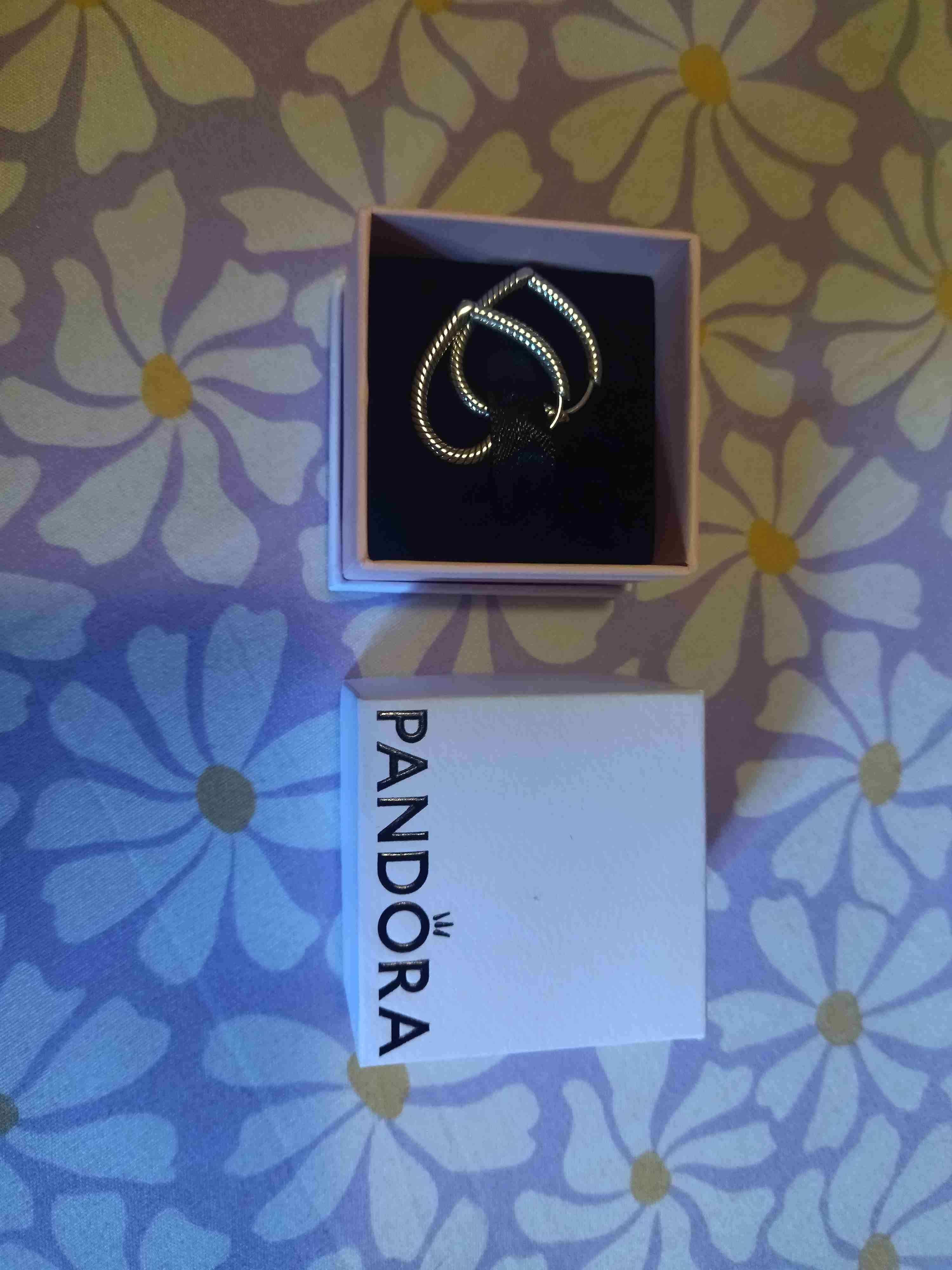 Aros de corazón Pandora plateados - miniatura 3