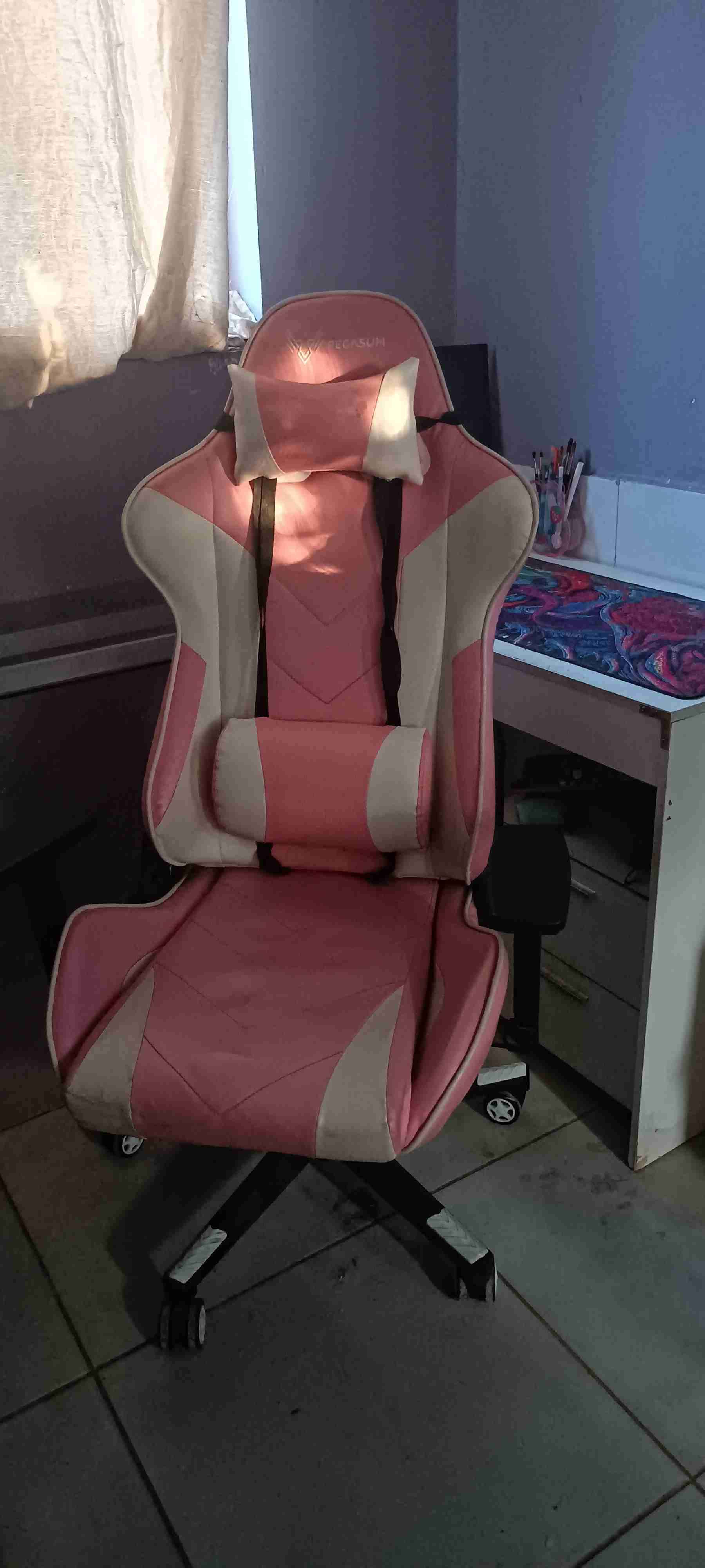 Silla gamer Pegasum - miniatura 1