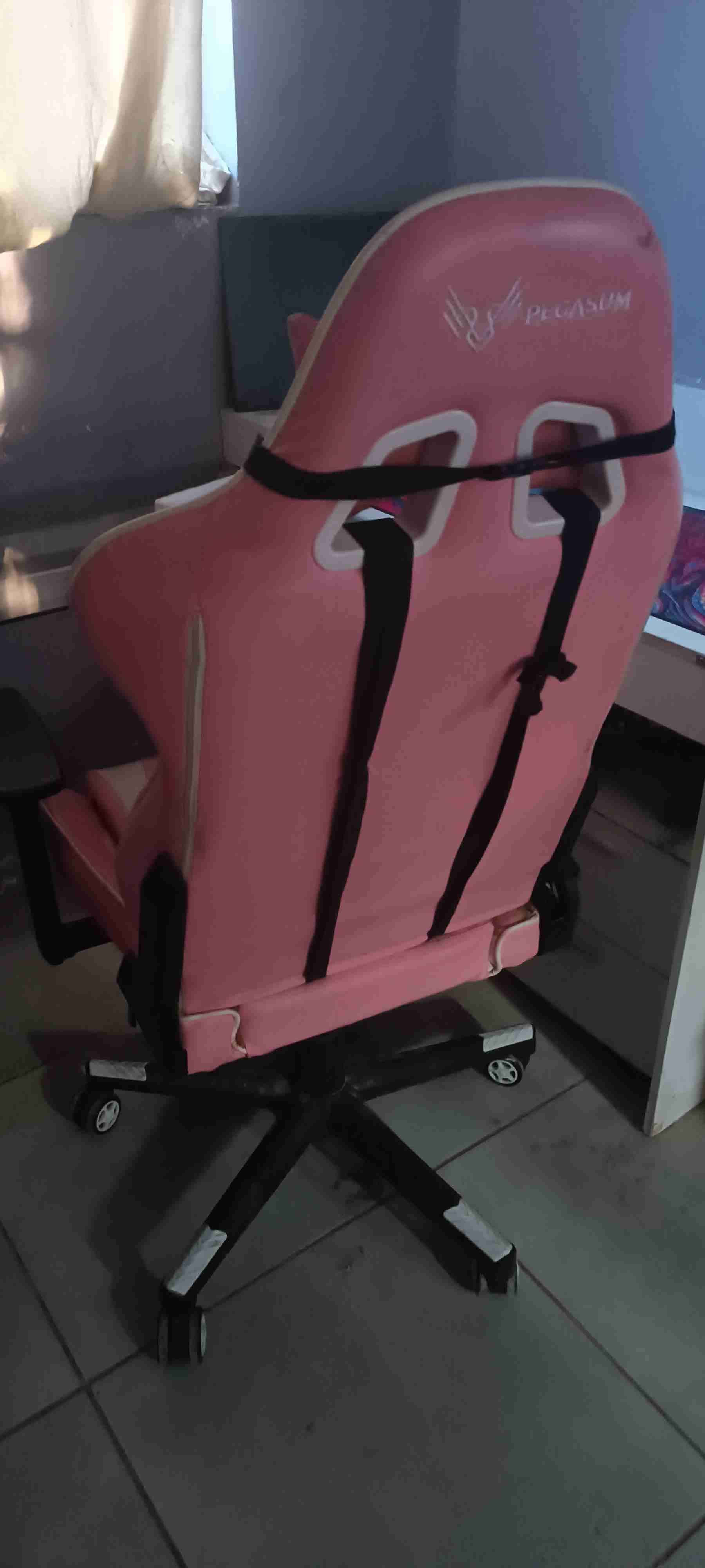 Silla gamer Pegasum - miniatura 2