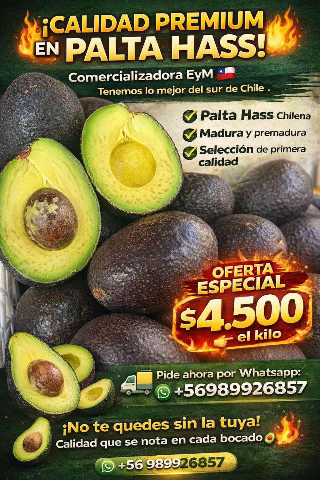 Paltas Hass Chilenas Premium - 1