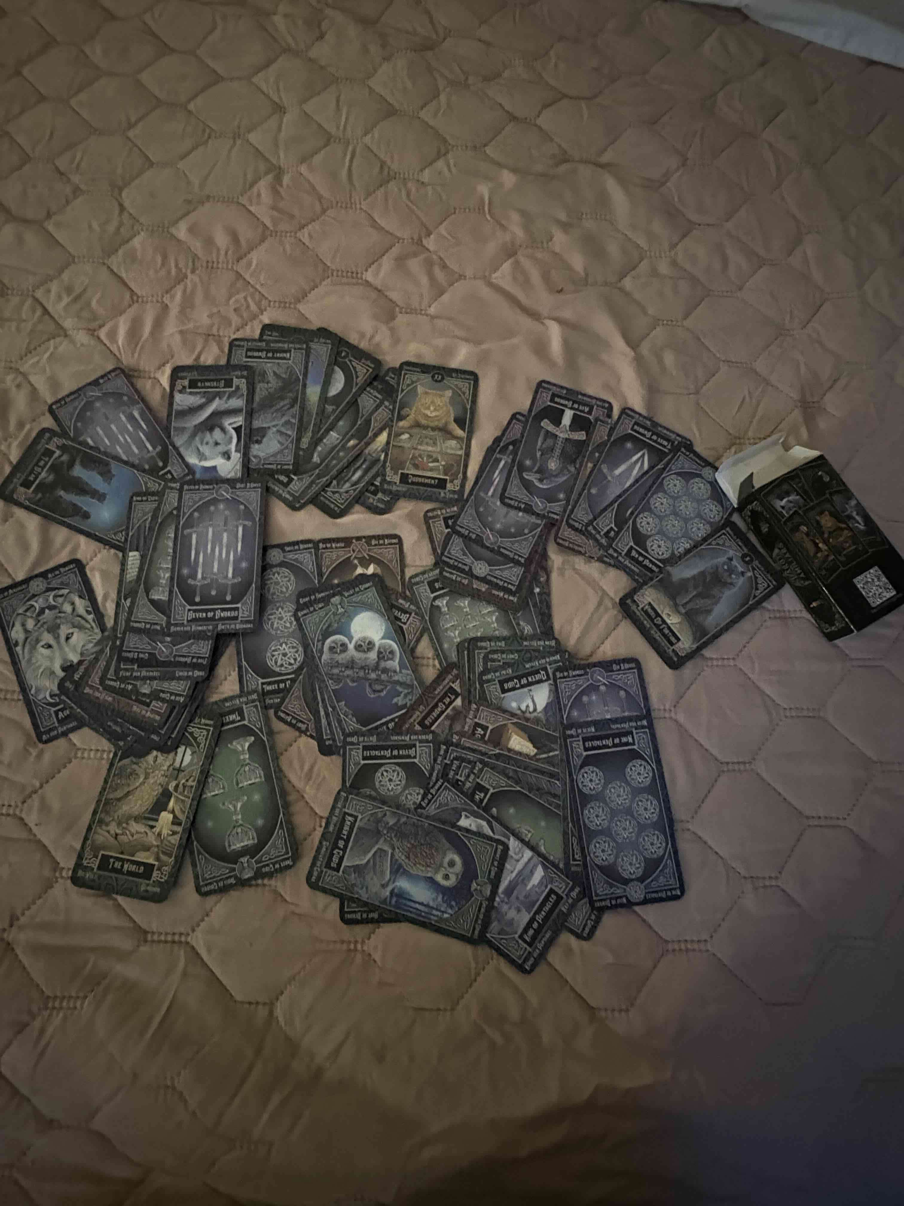 Tarot Familiars Caja - 3