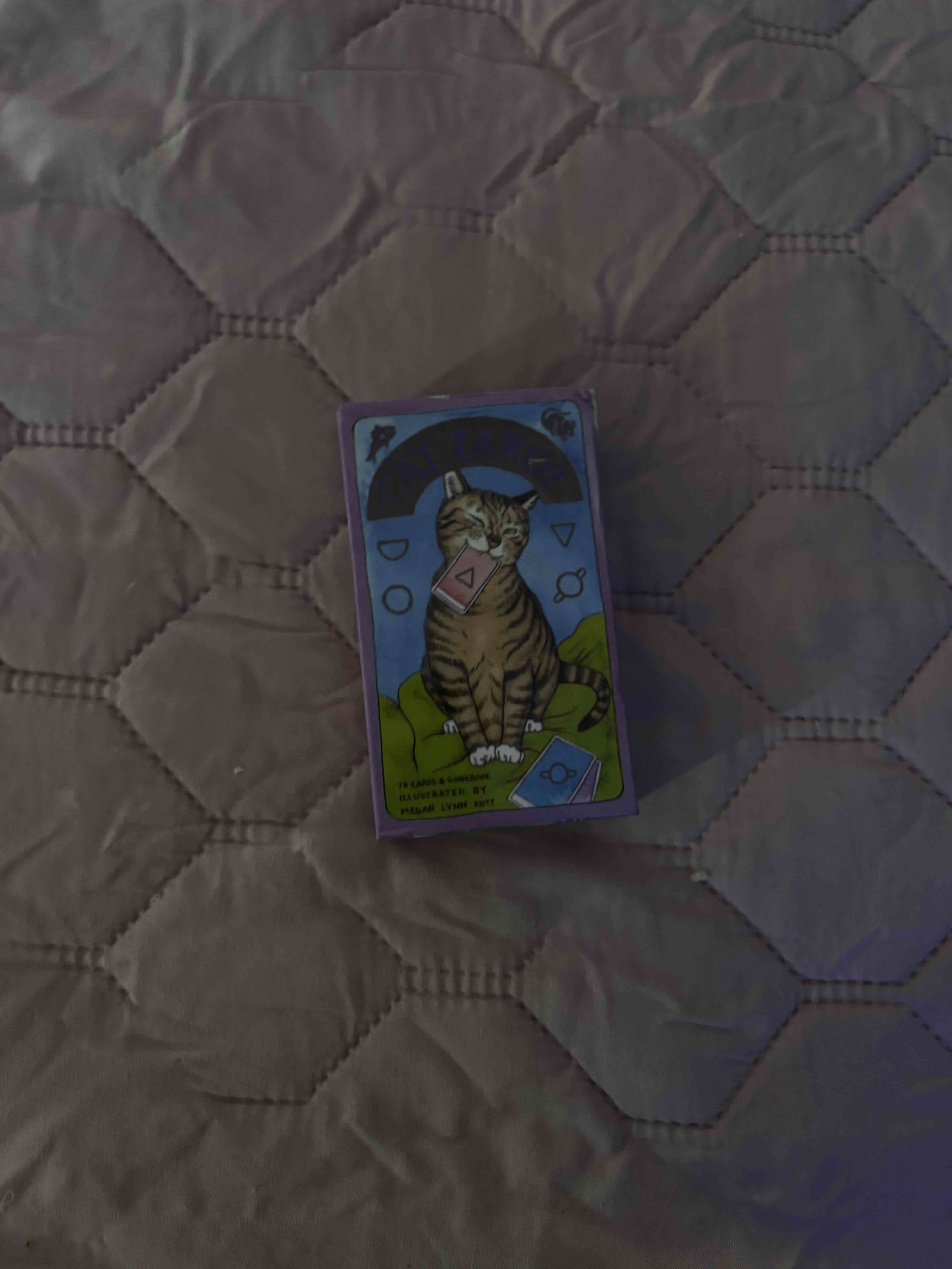 Juego de cartas tarot gatuno - miniatura 1