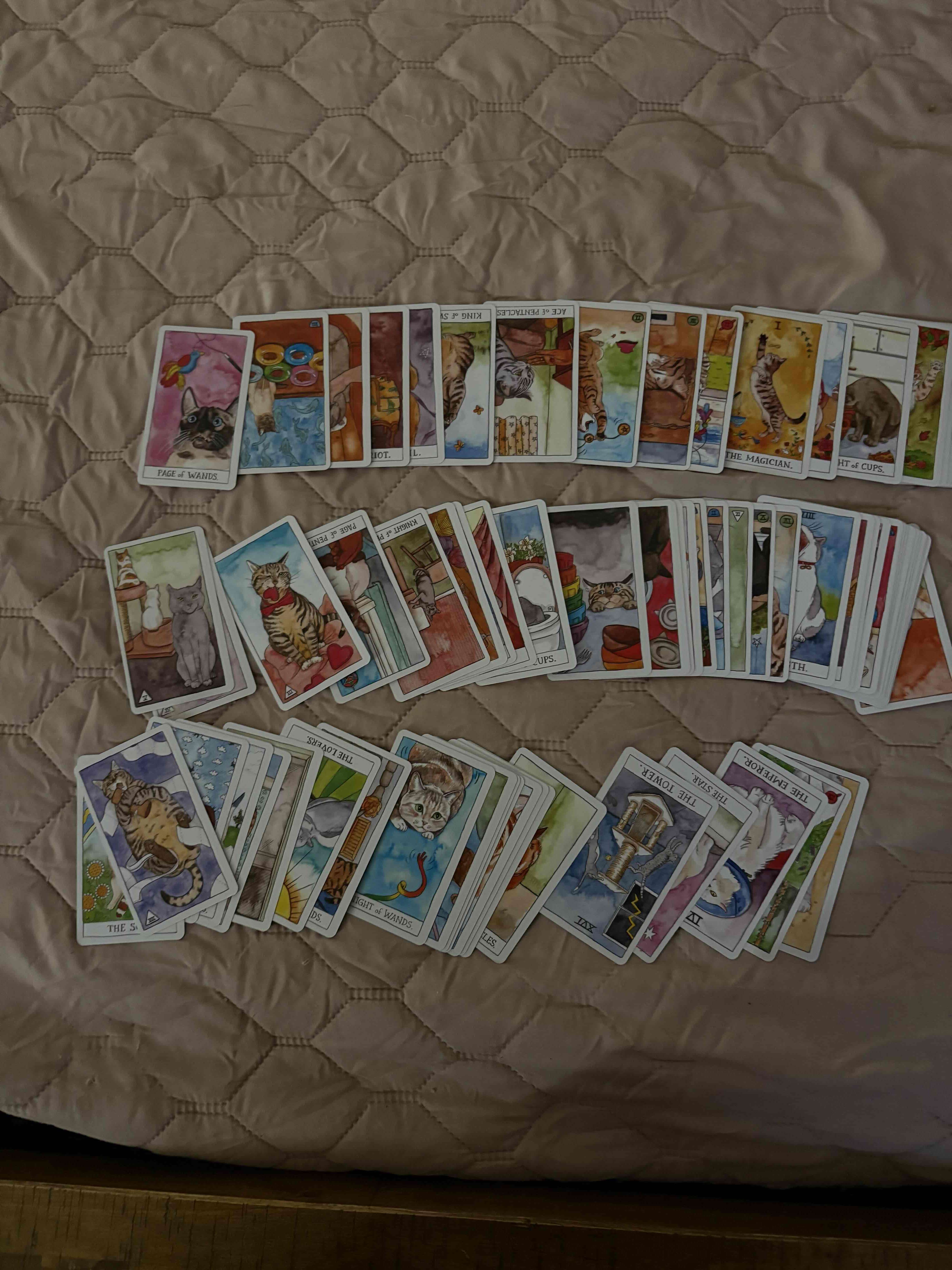 Juego de cartas tarot gatuno - miniatura 3