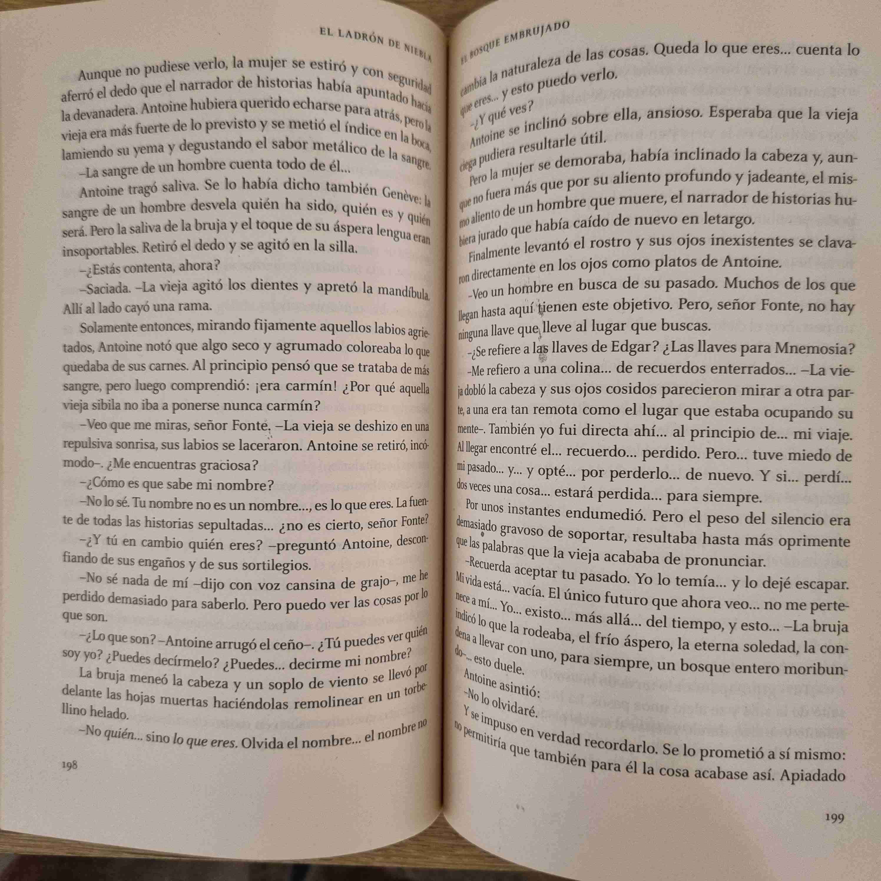 El ladrón de niebla - miniatura 2