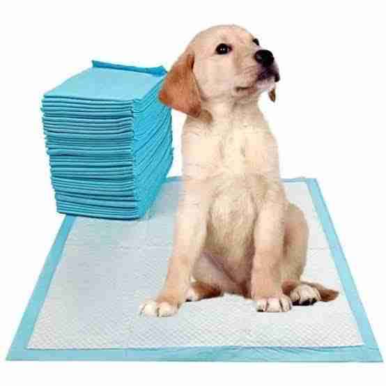 Alfombra absorbente para mascotas XL - 4