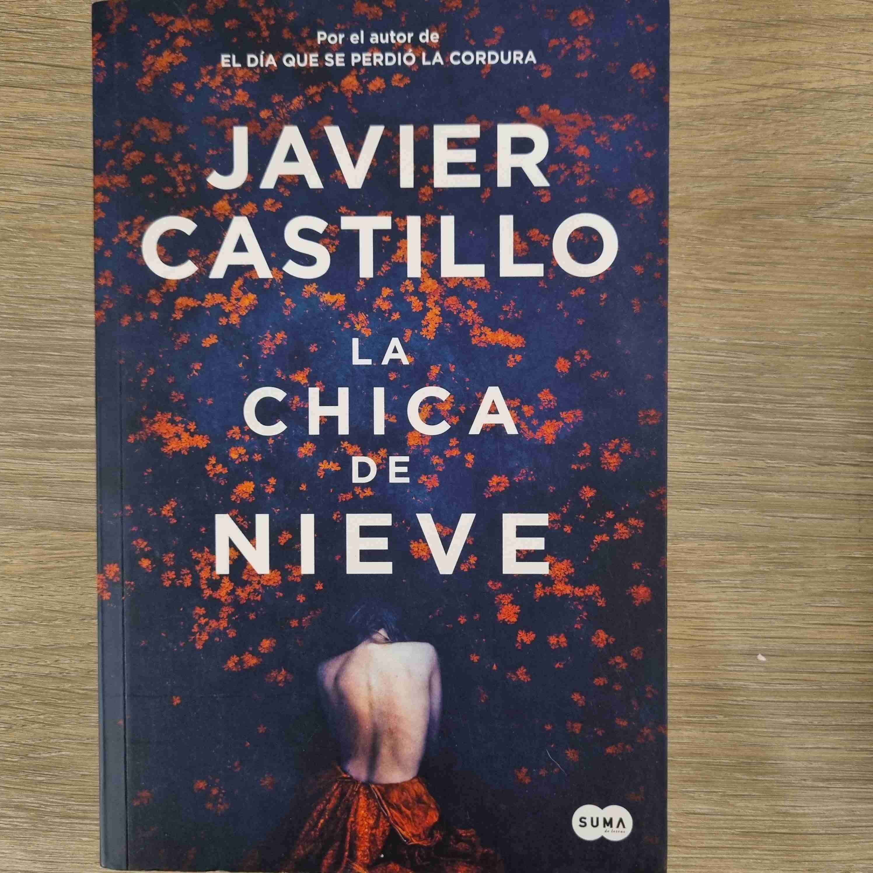 La chica de nieve - miniatura 1