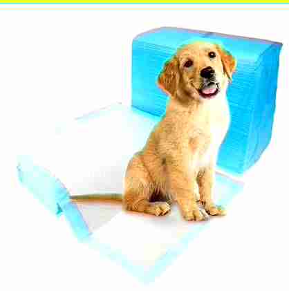 SABANILLAS - miniatura 3