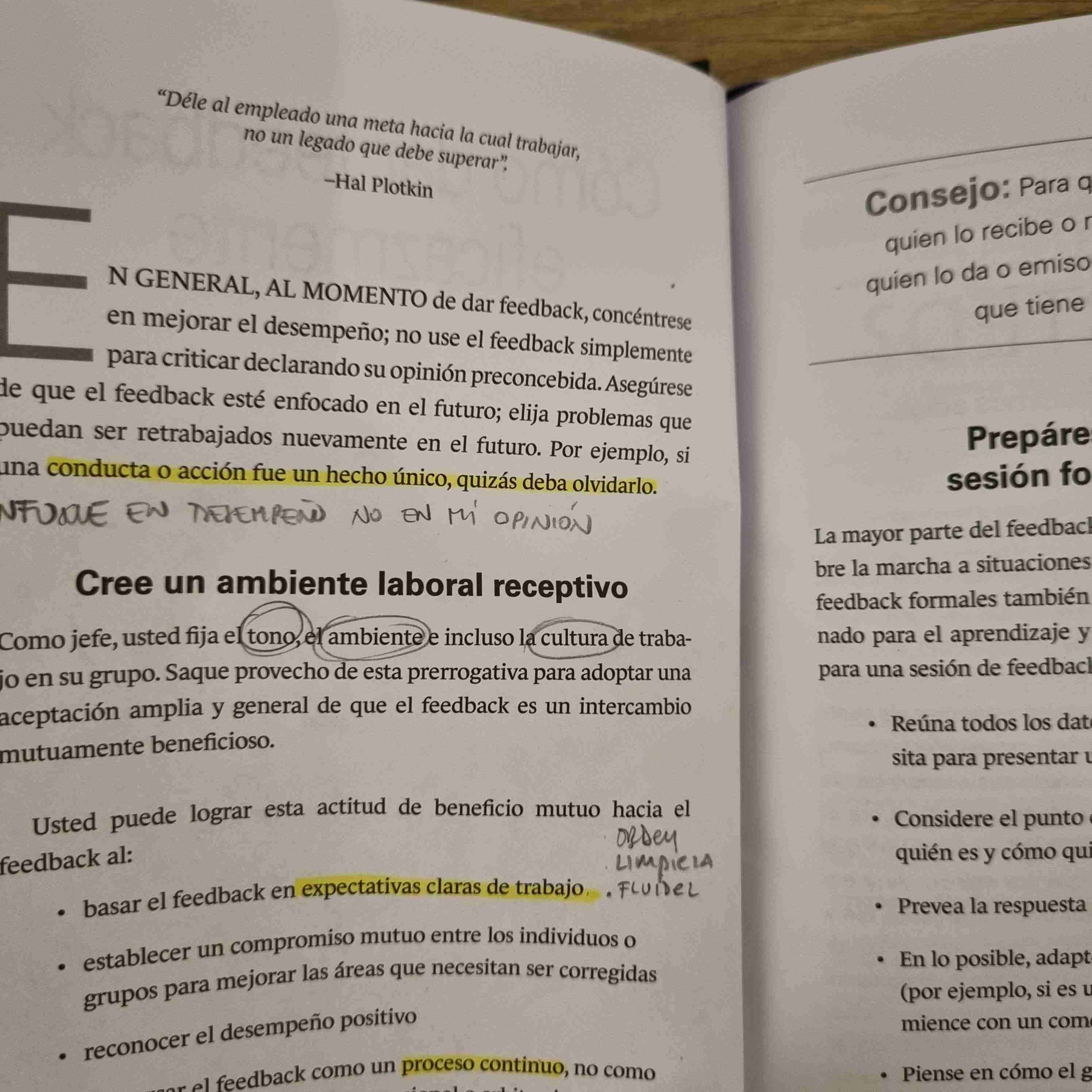 Cómo Dar Feedback - miniatura 3