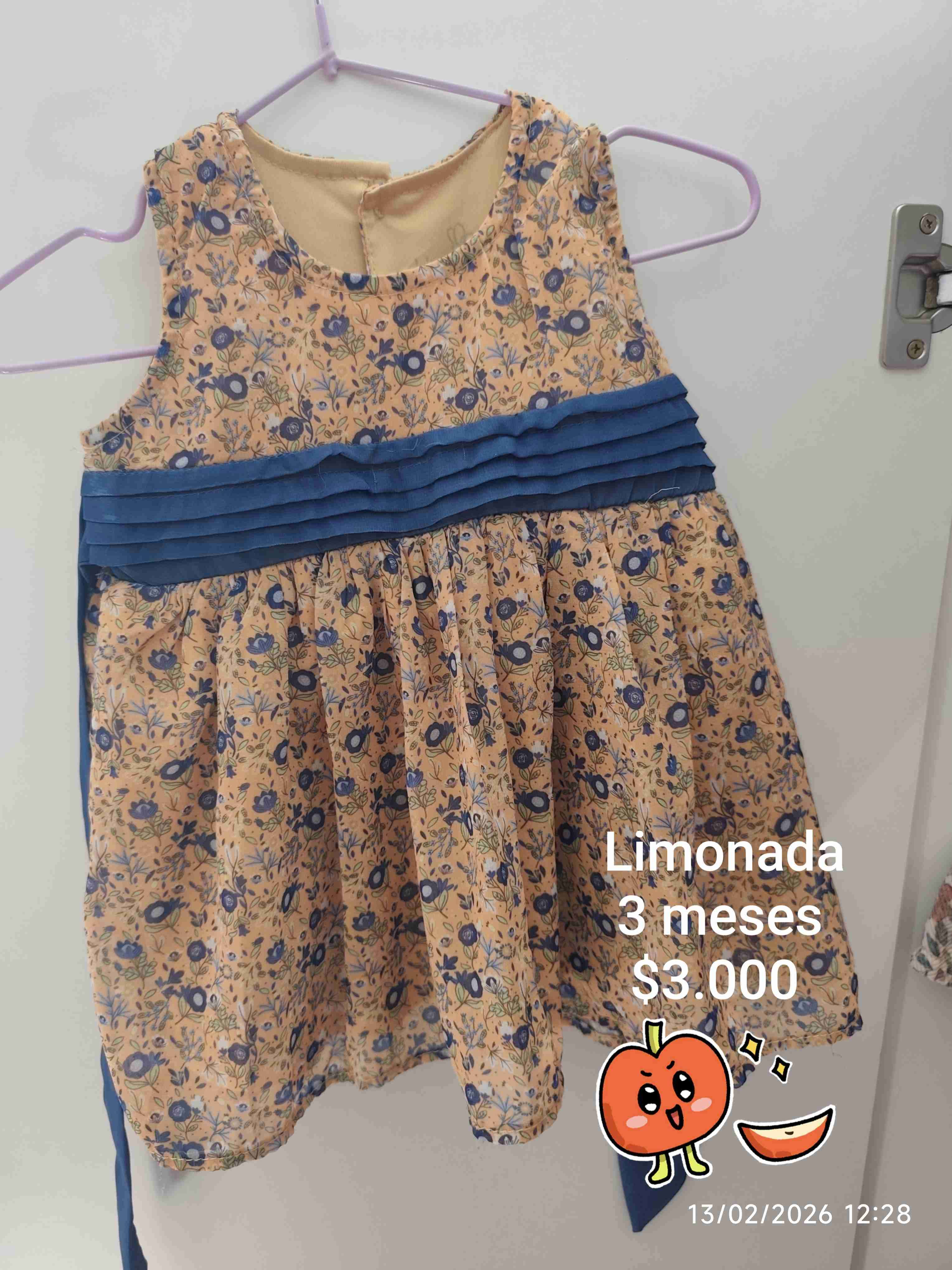 Vestidos verano 6M - 3