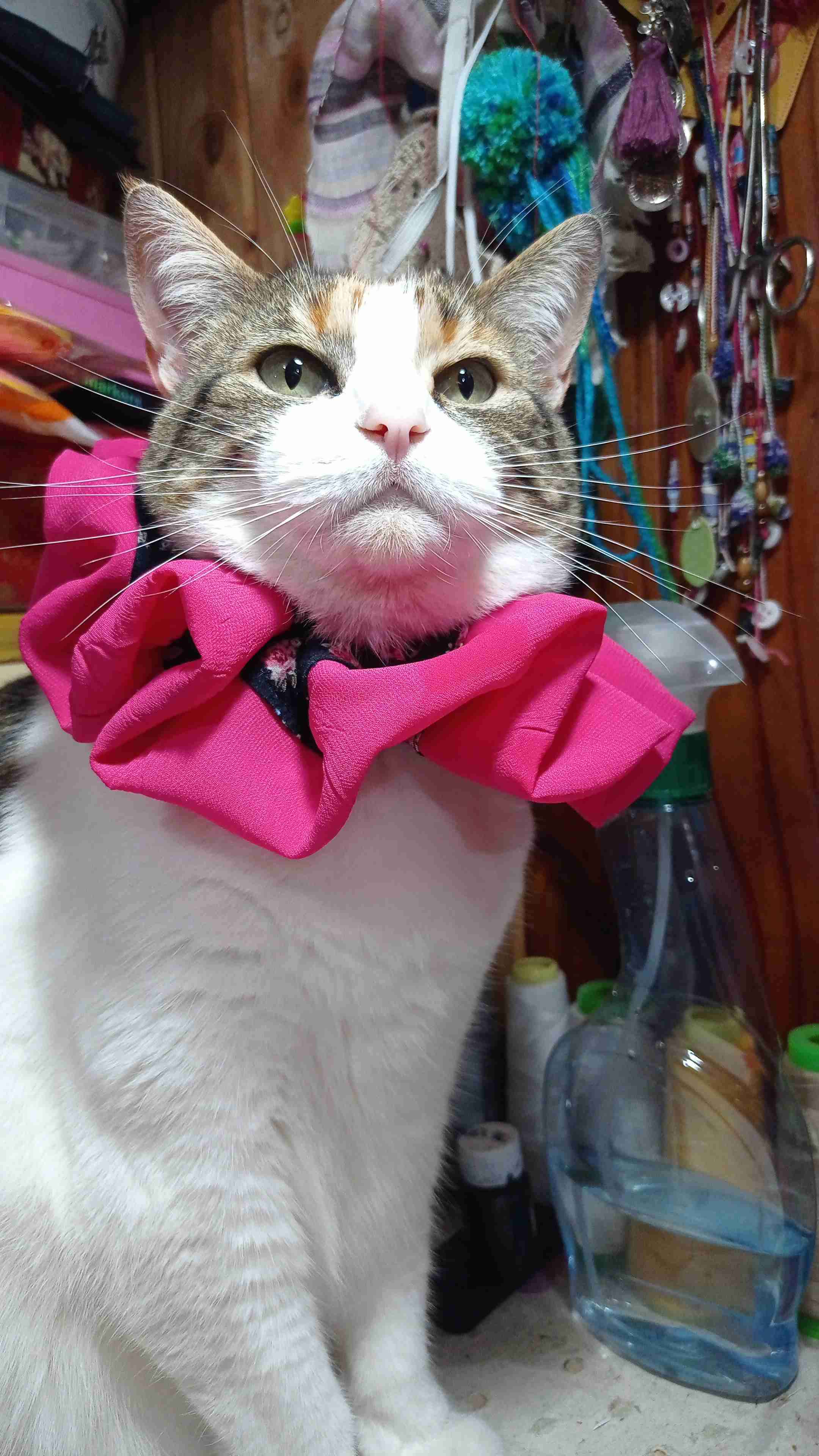 Colección de collets tejidos y de tela - 6