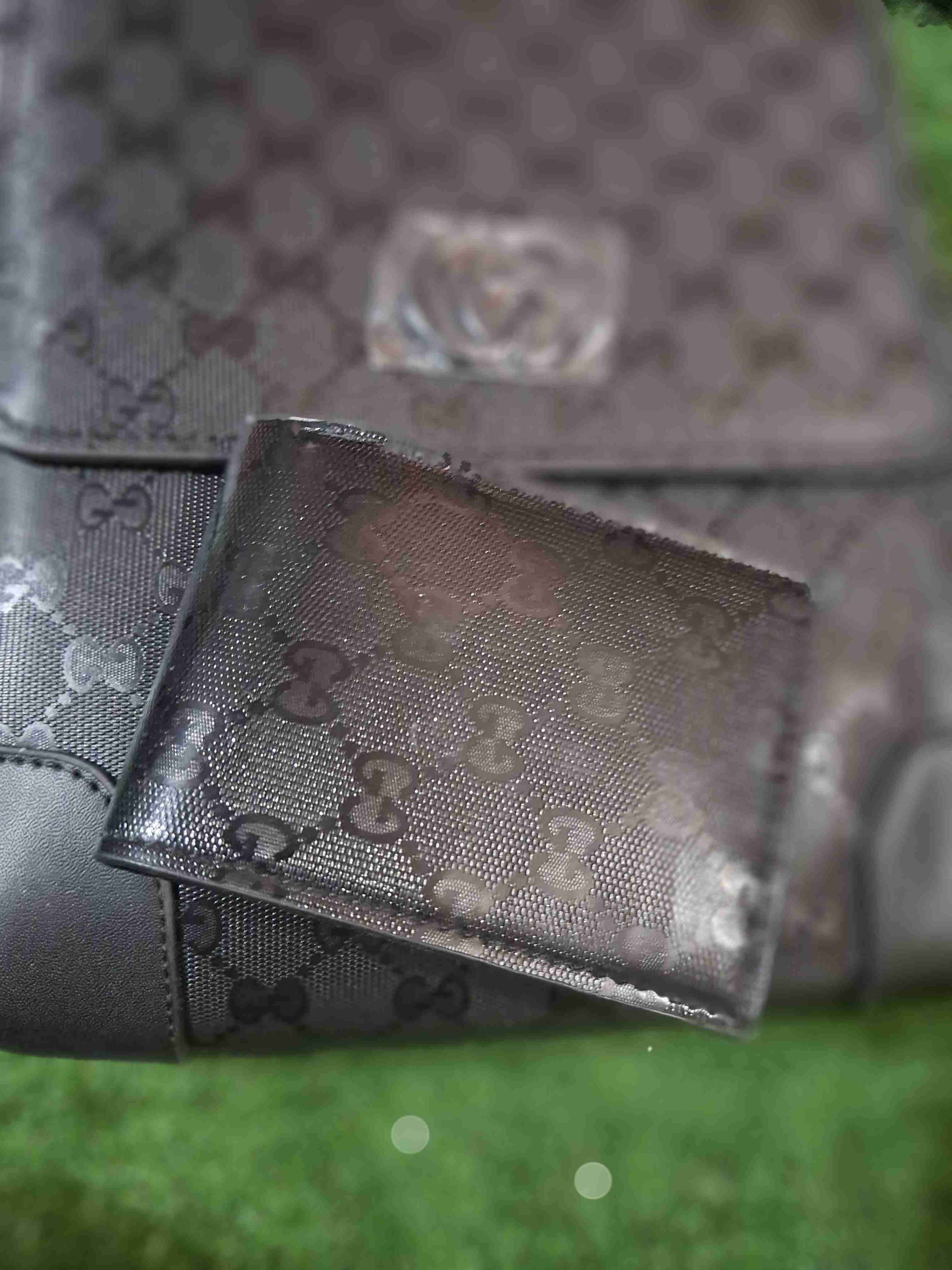 Billeteras Gucci y Louis Vuitton - miniatura 1