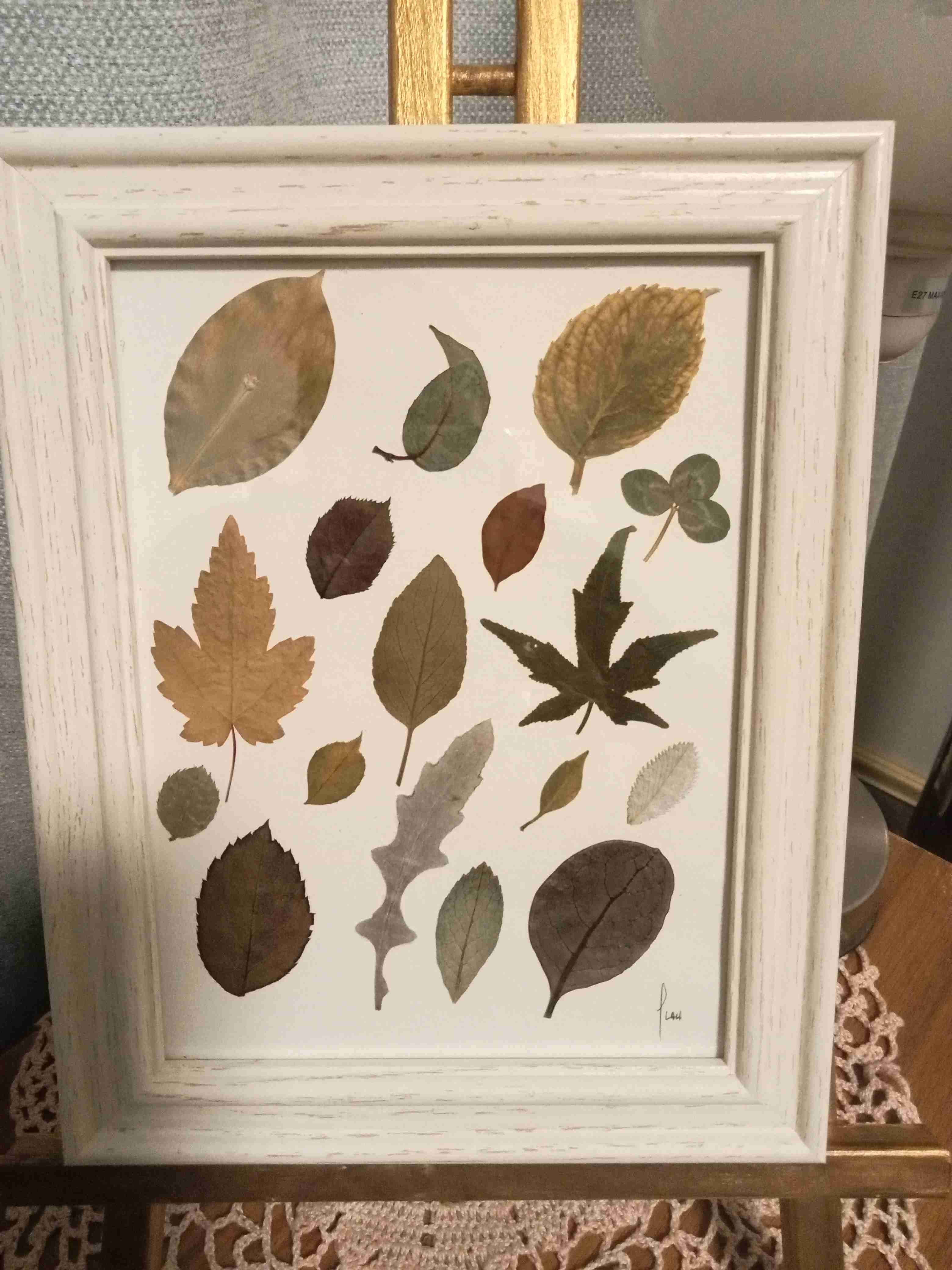 Cuadro flores secas prensadas - miniatura 1