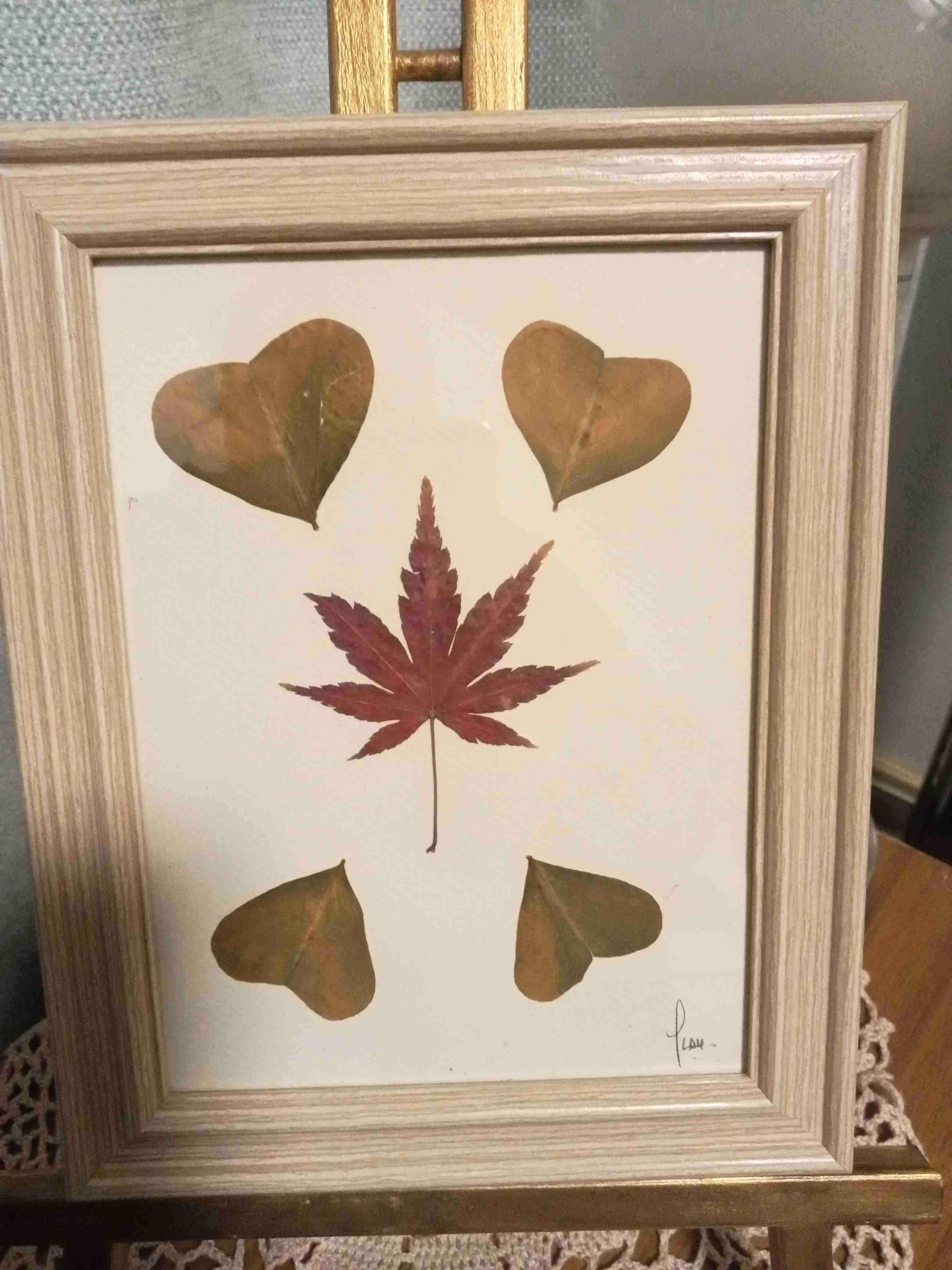 Cuadro flores secas prensadas - miniatura 2