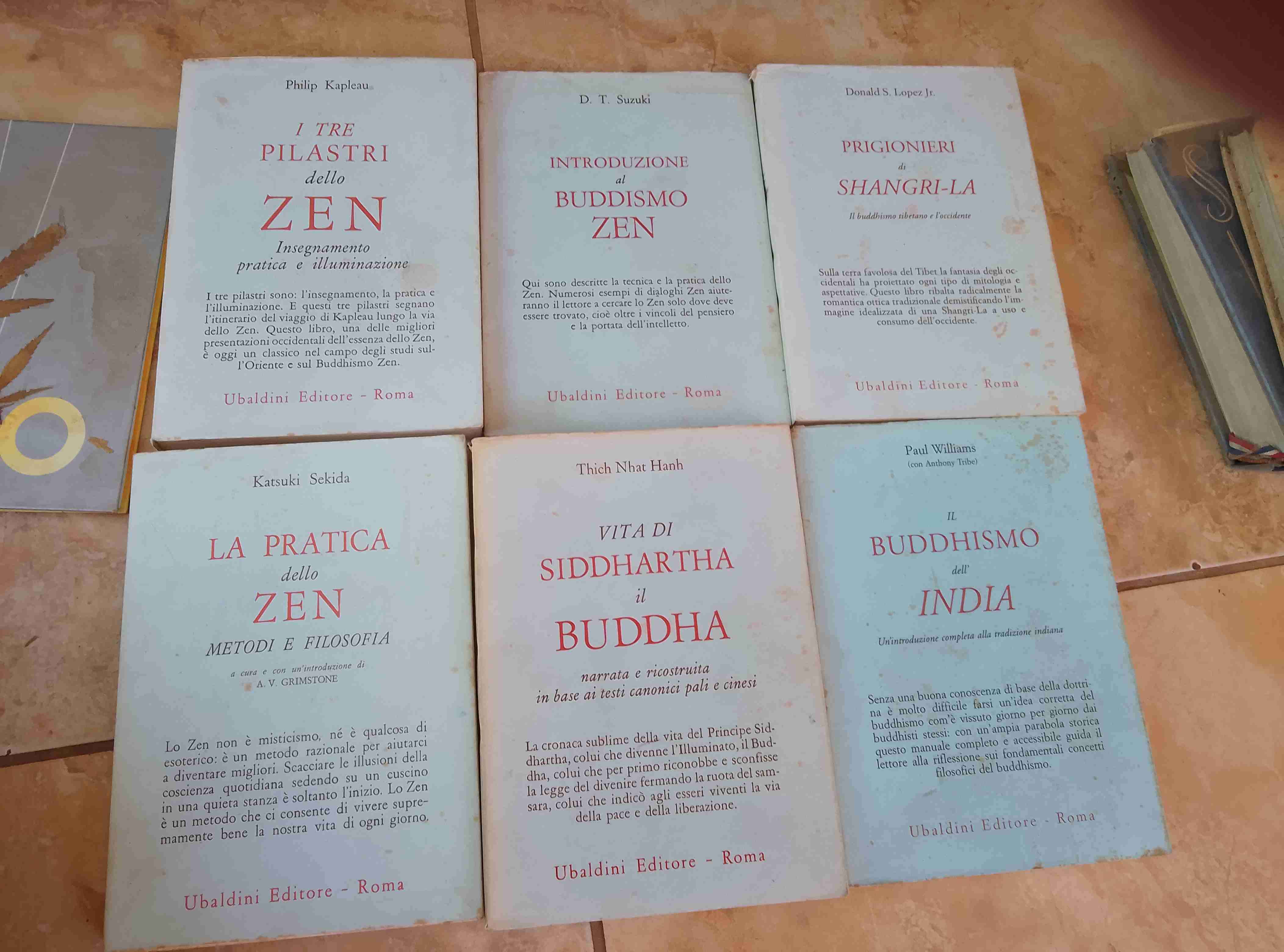 Lote de libros sobre budismo y zen