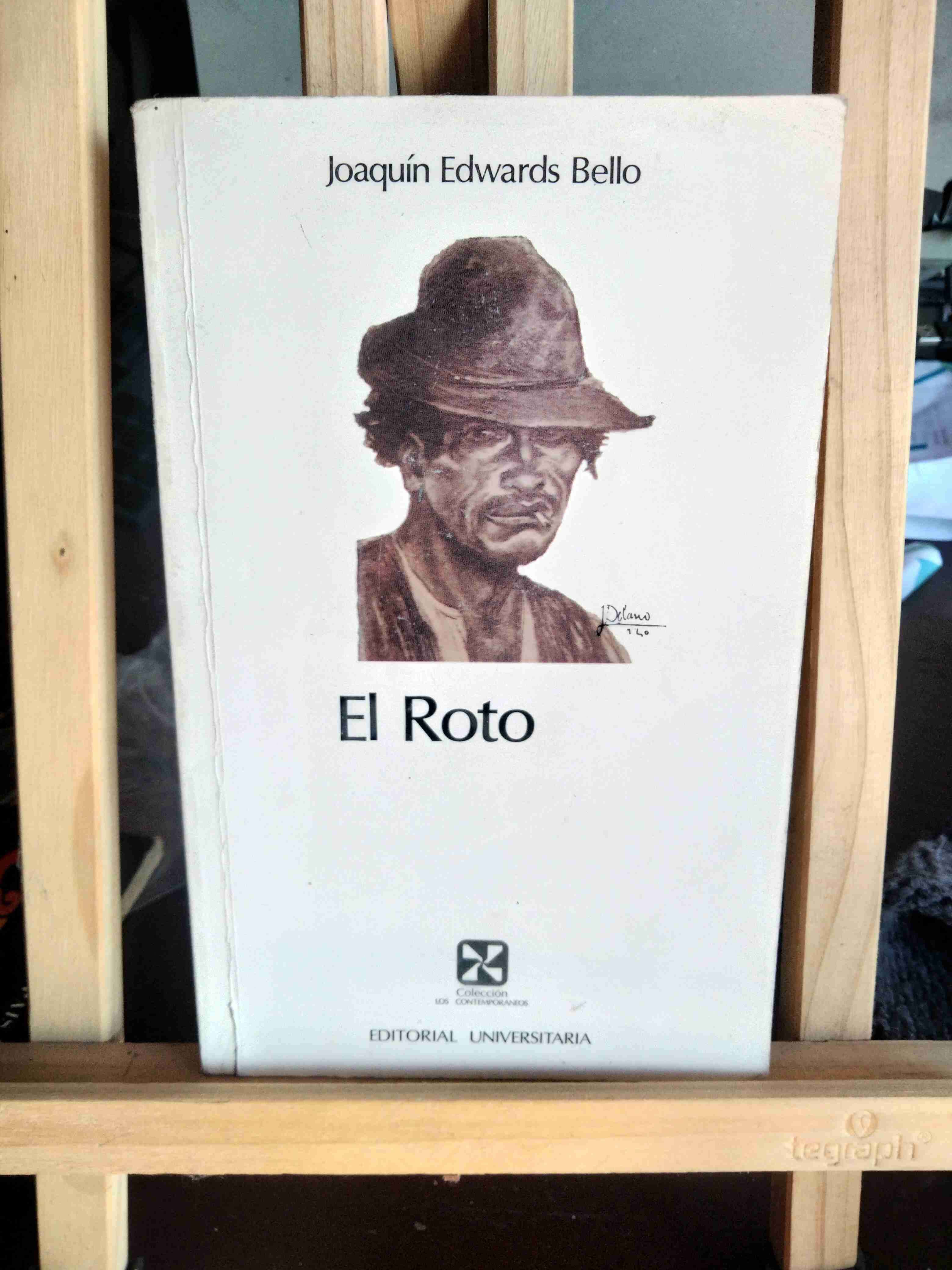 Libro El Roto de Joaquín Edwards Bello