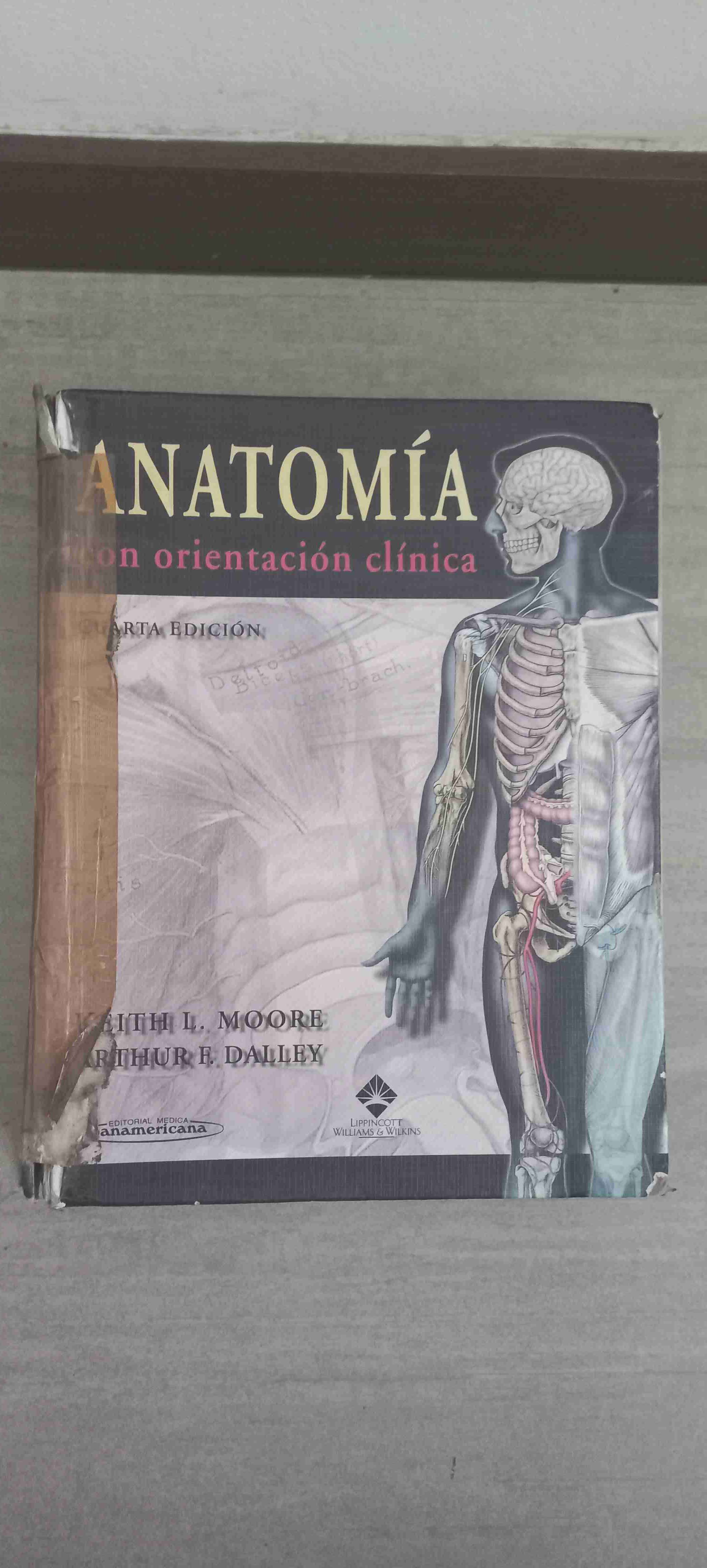 Libro Anatomía con orientación clínica - miniatura 1