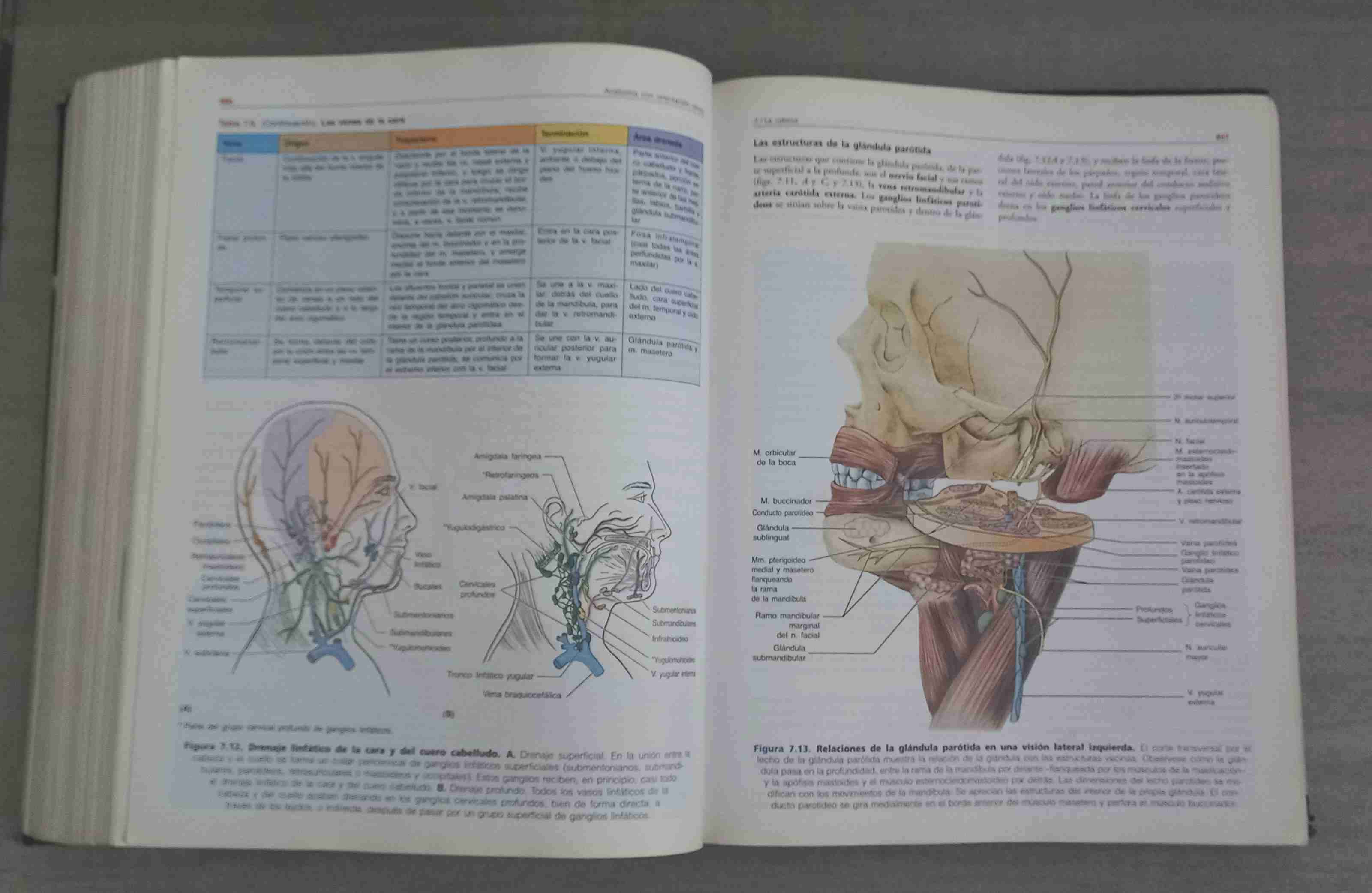 Libro Anatomía con orientación clínica - miniatura 5