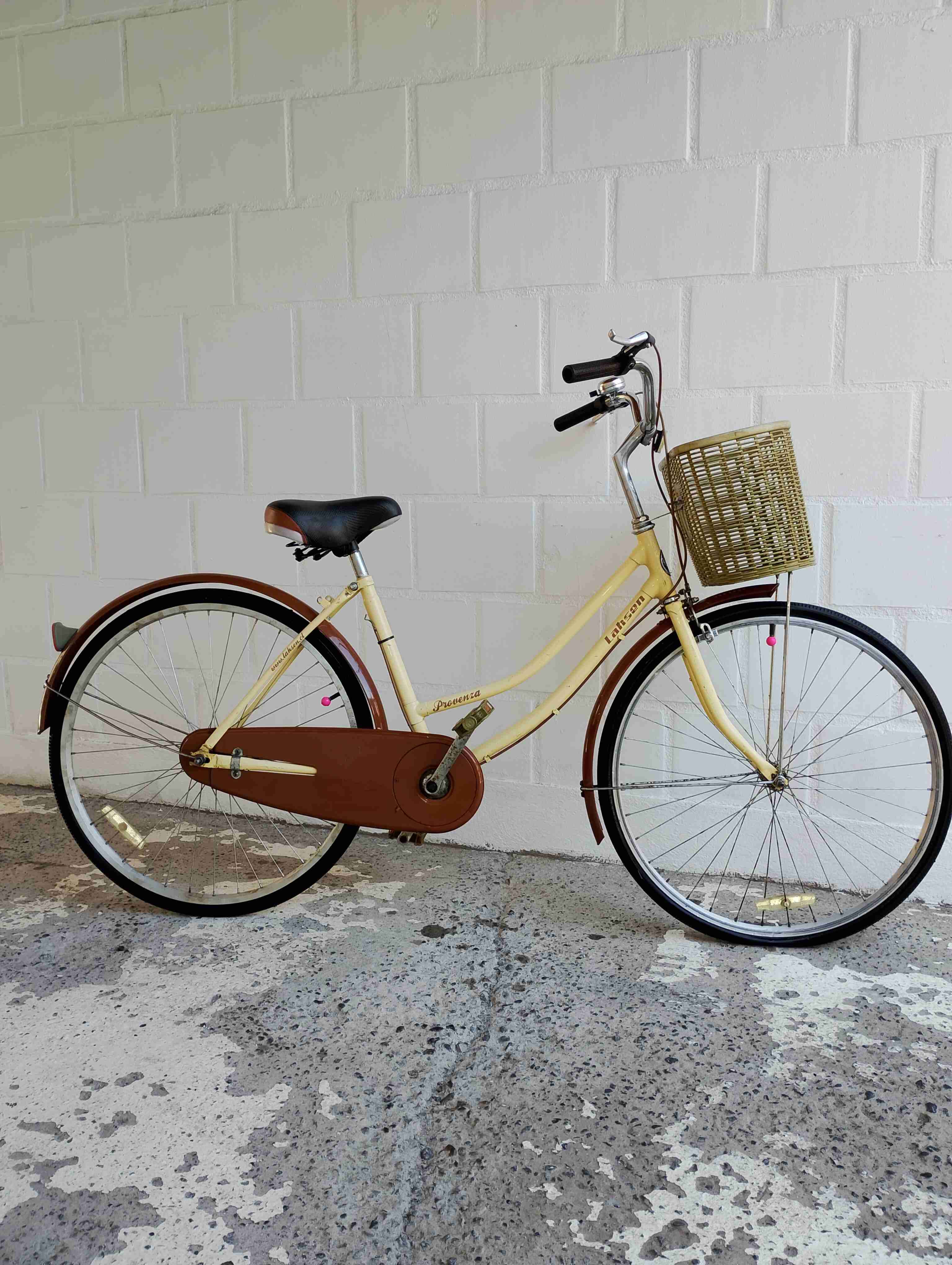 Bicicleta urbana con canasto