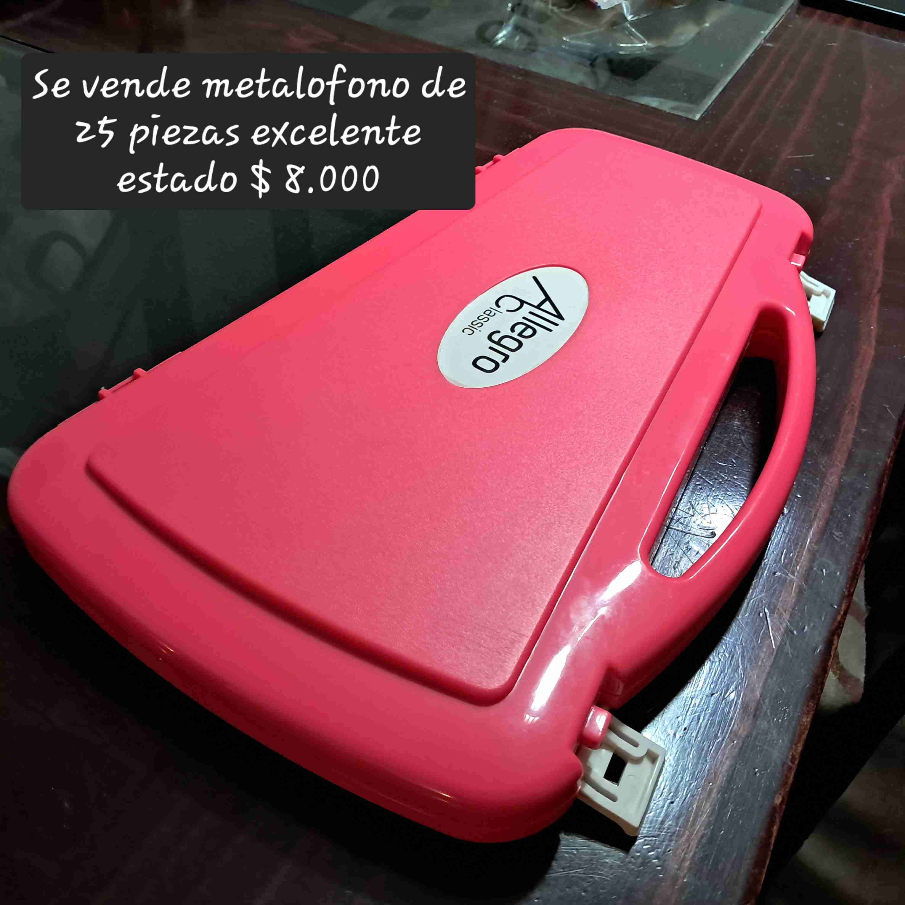 Metalófono 25 piezas Allegro - miniatura 1