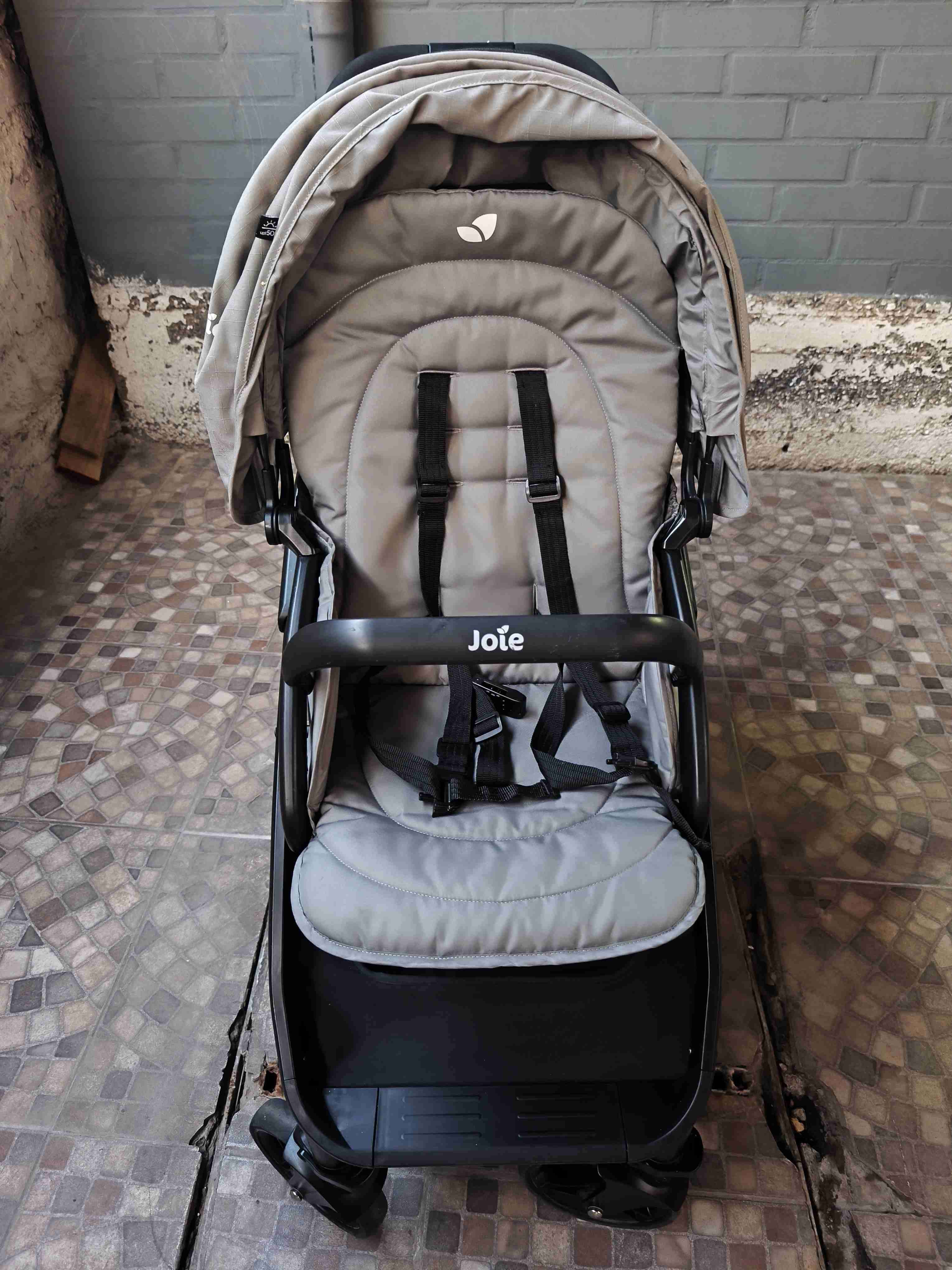 Coche doble Joie gris - 3