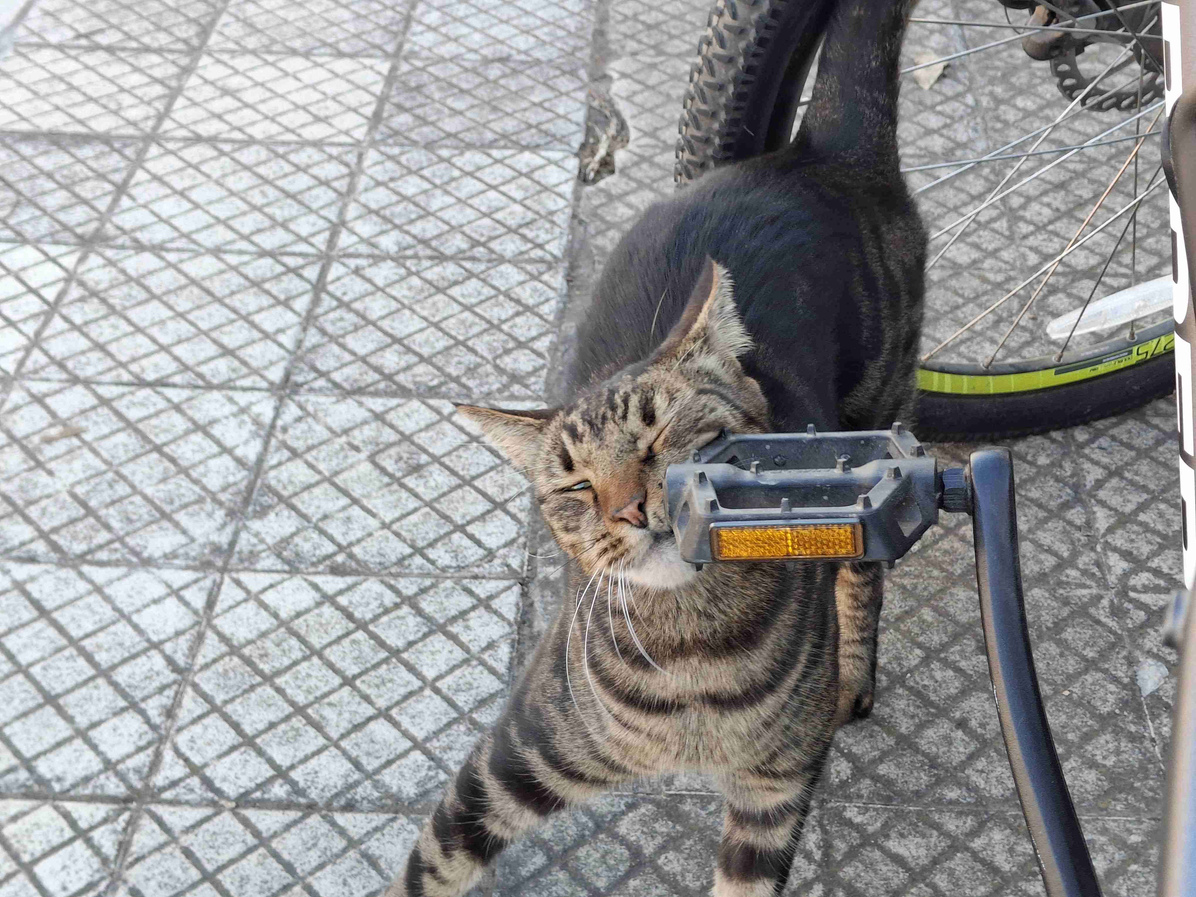 Bicicleta Rockrider ST520 - 5