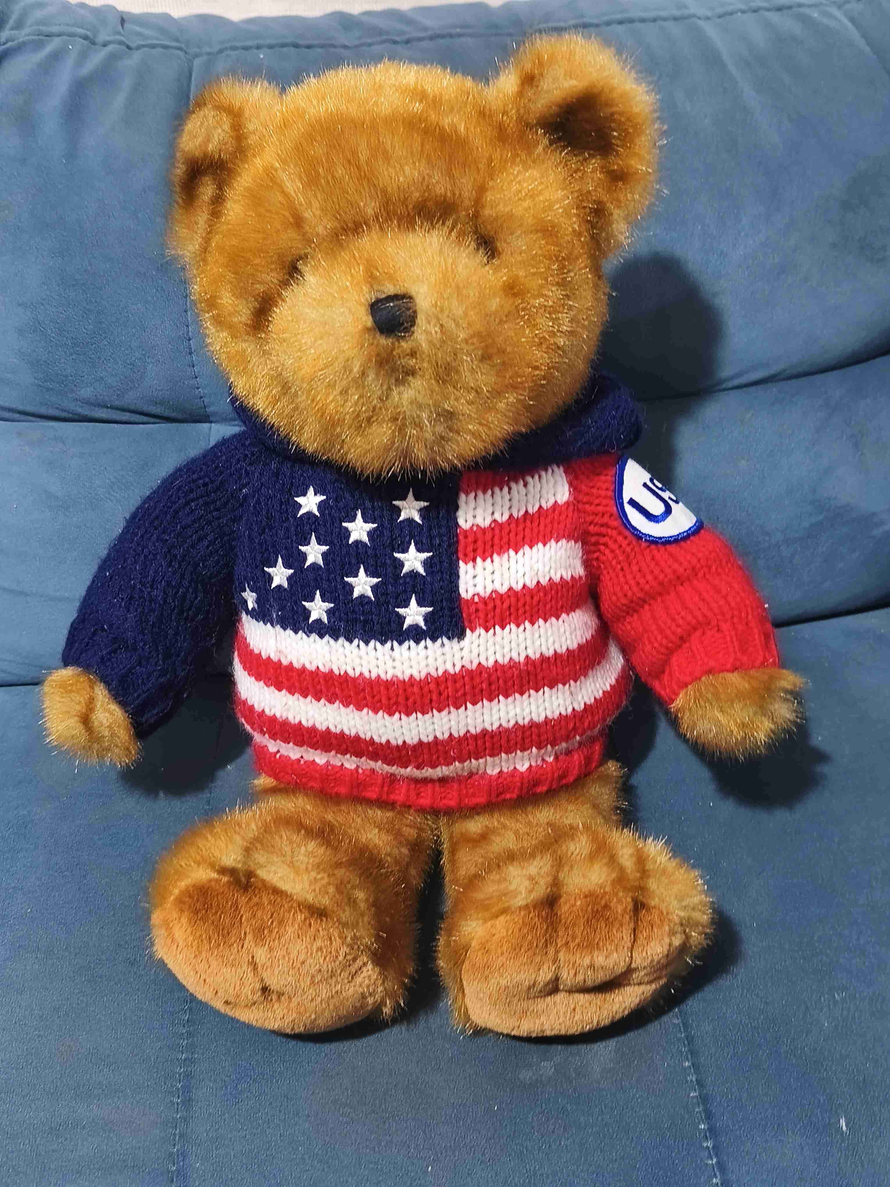 Osito de peluche con polerón USA - 1