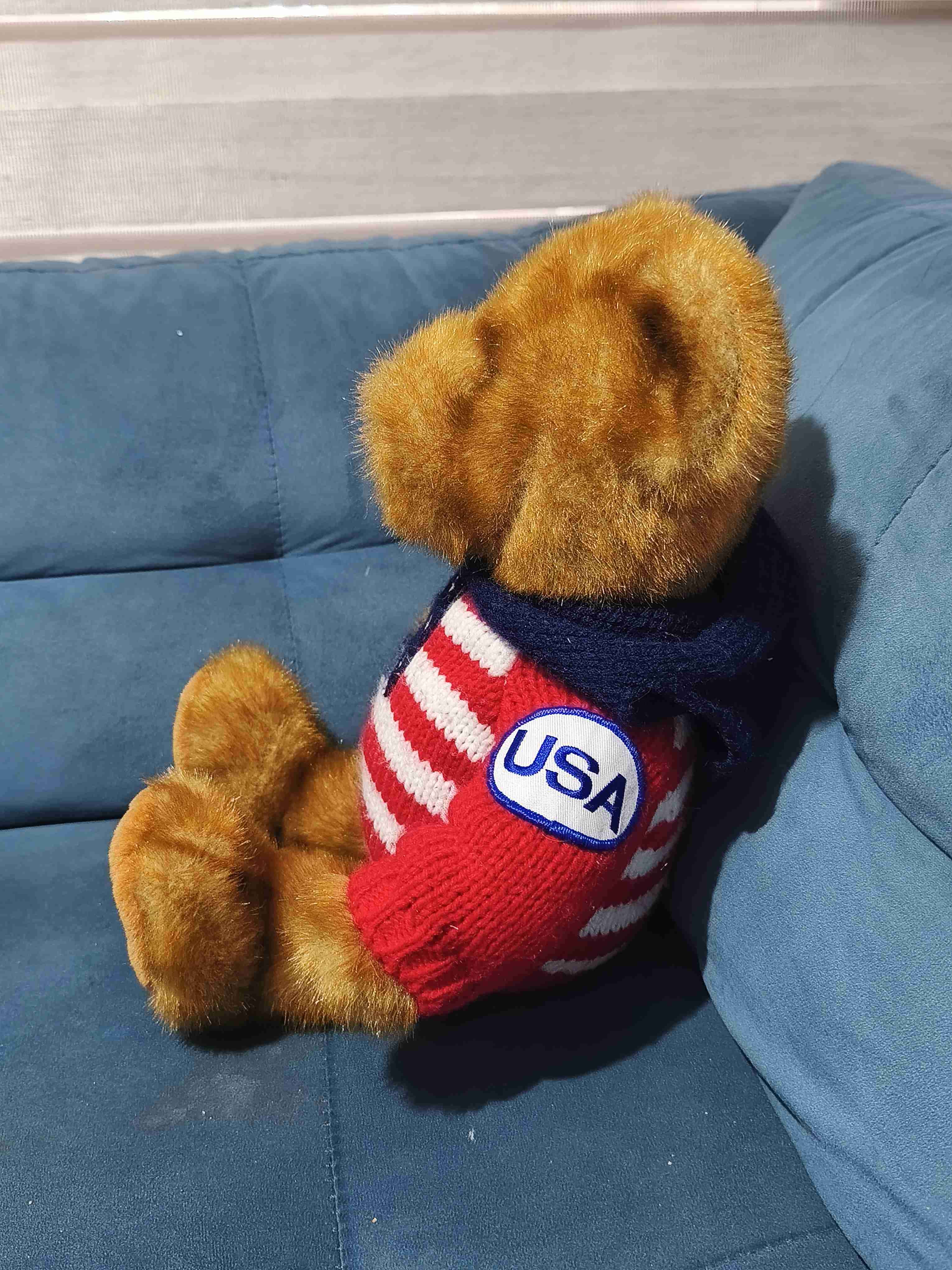 Osito de peluche con polerón USA - 3