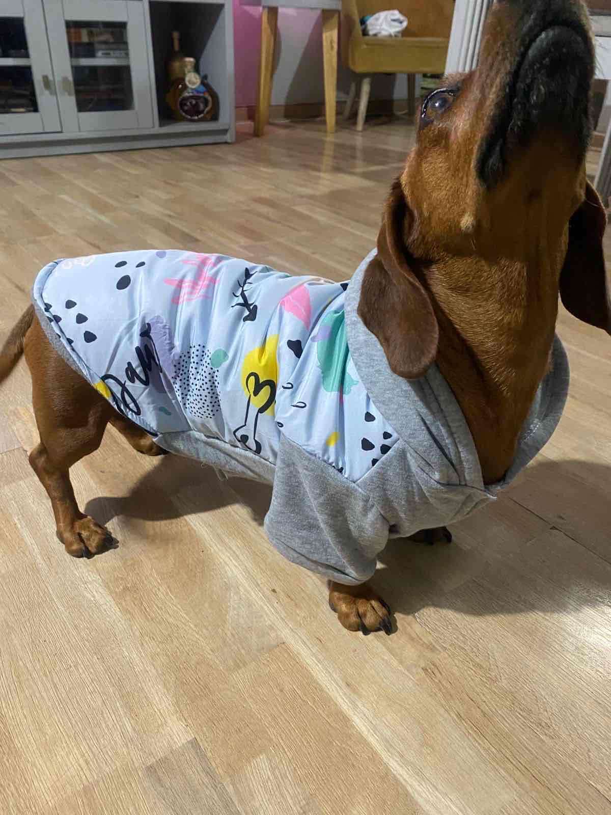 Polerón para perro con estampado - 1