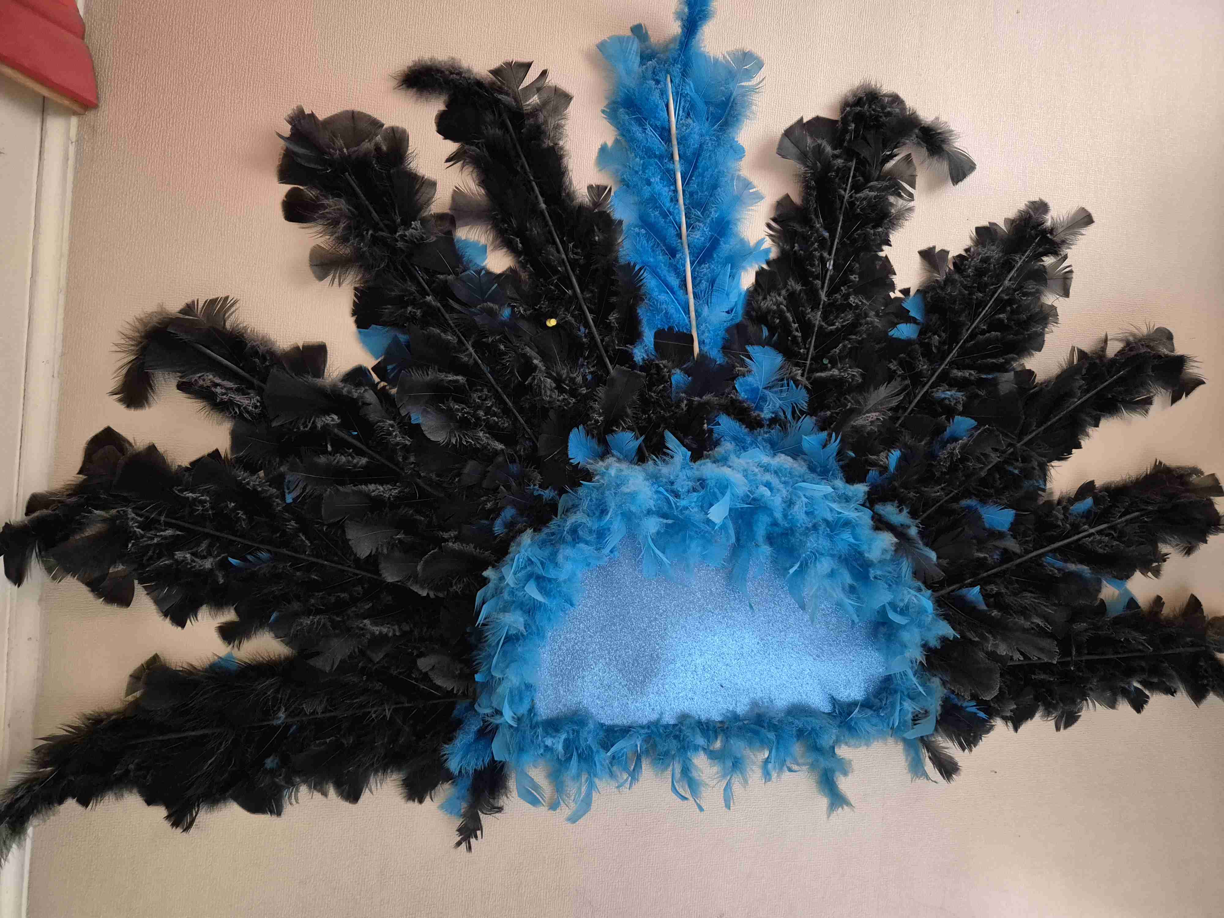 Plumas para baile tobas - 1