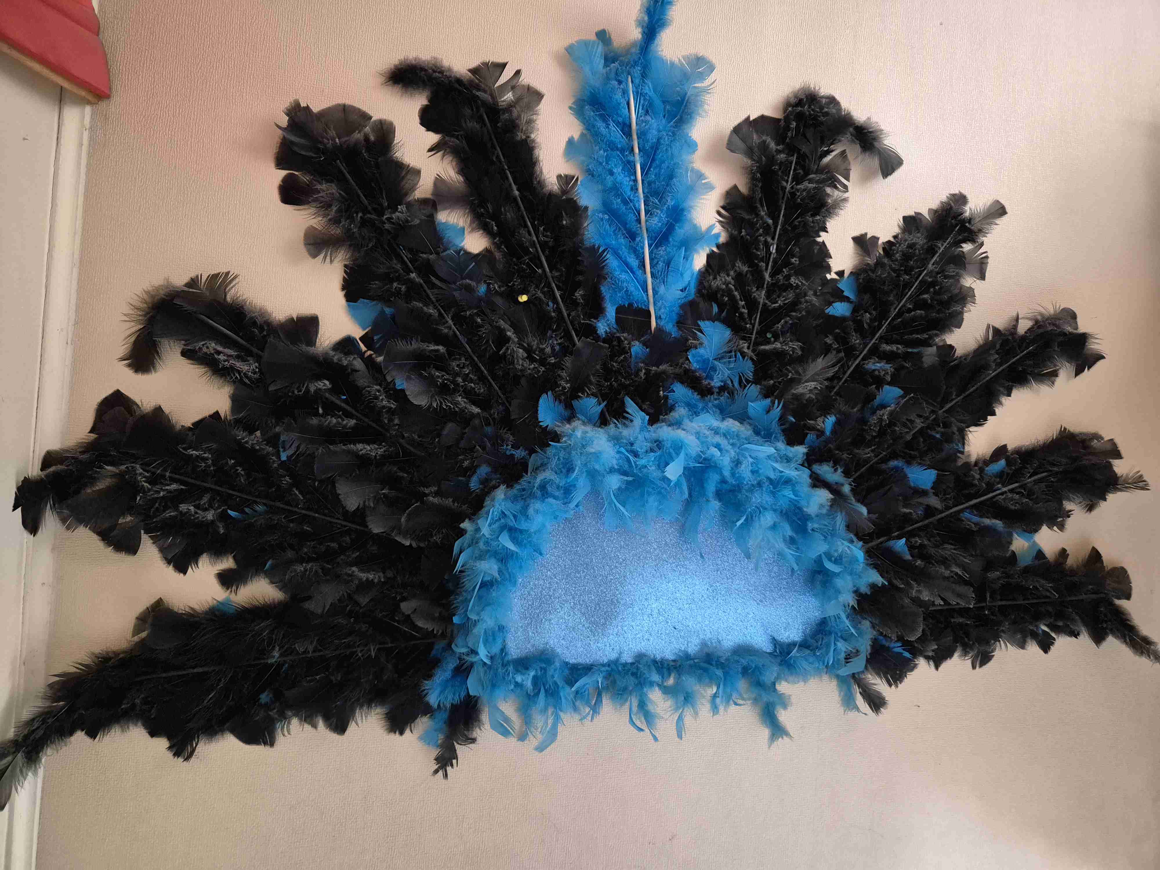 Plumas para baile tobas - 2