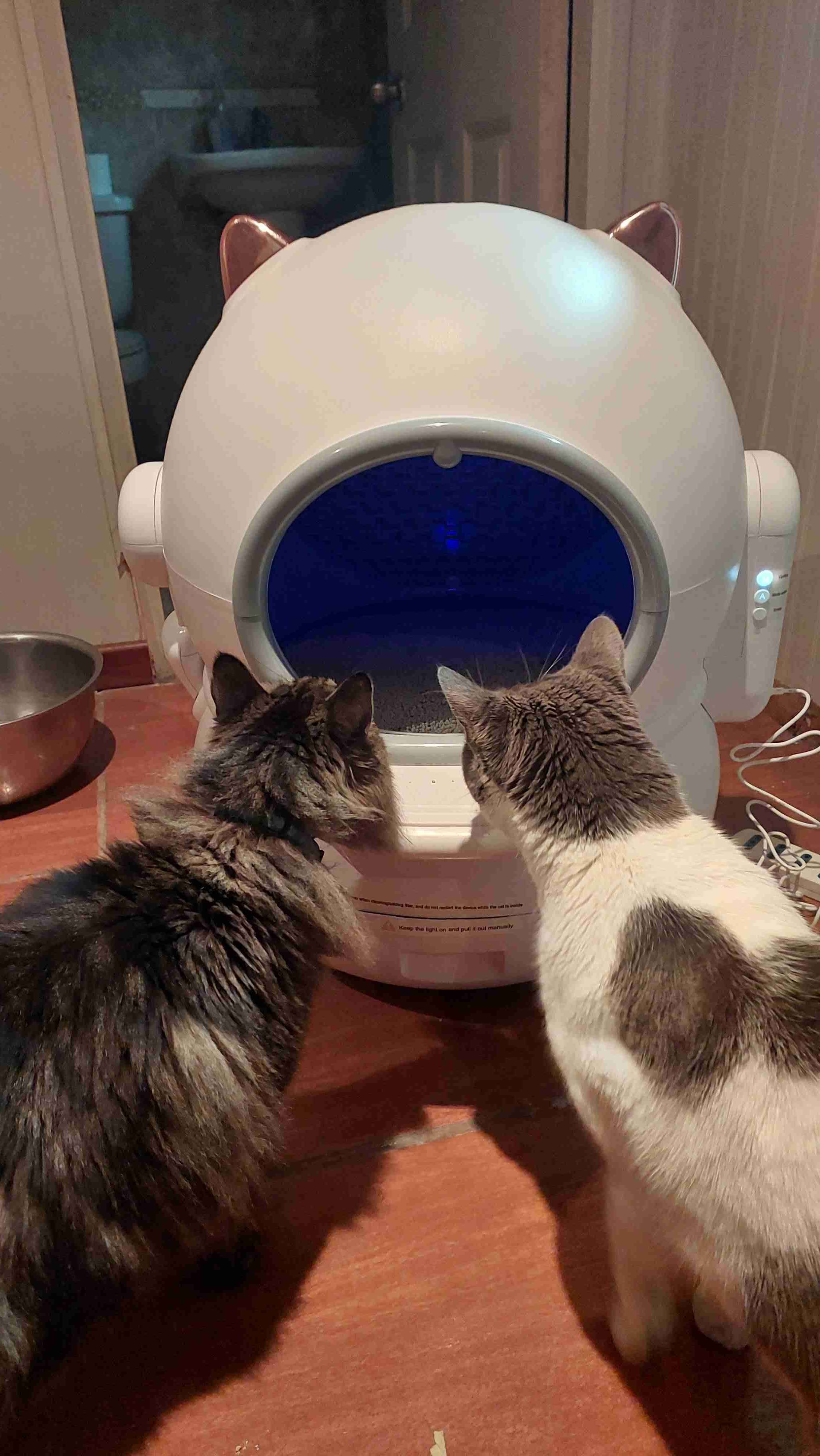 Arenero automático para gatos - miniatura 1