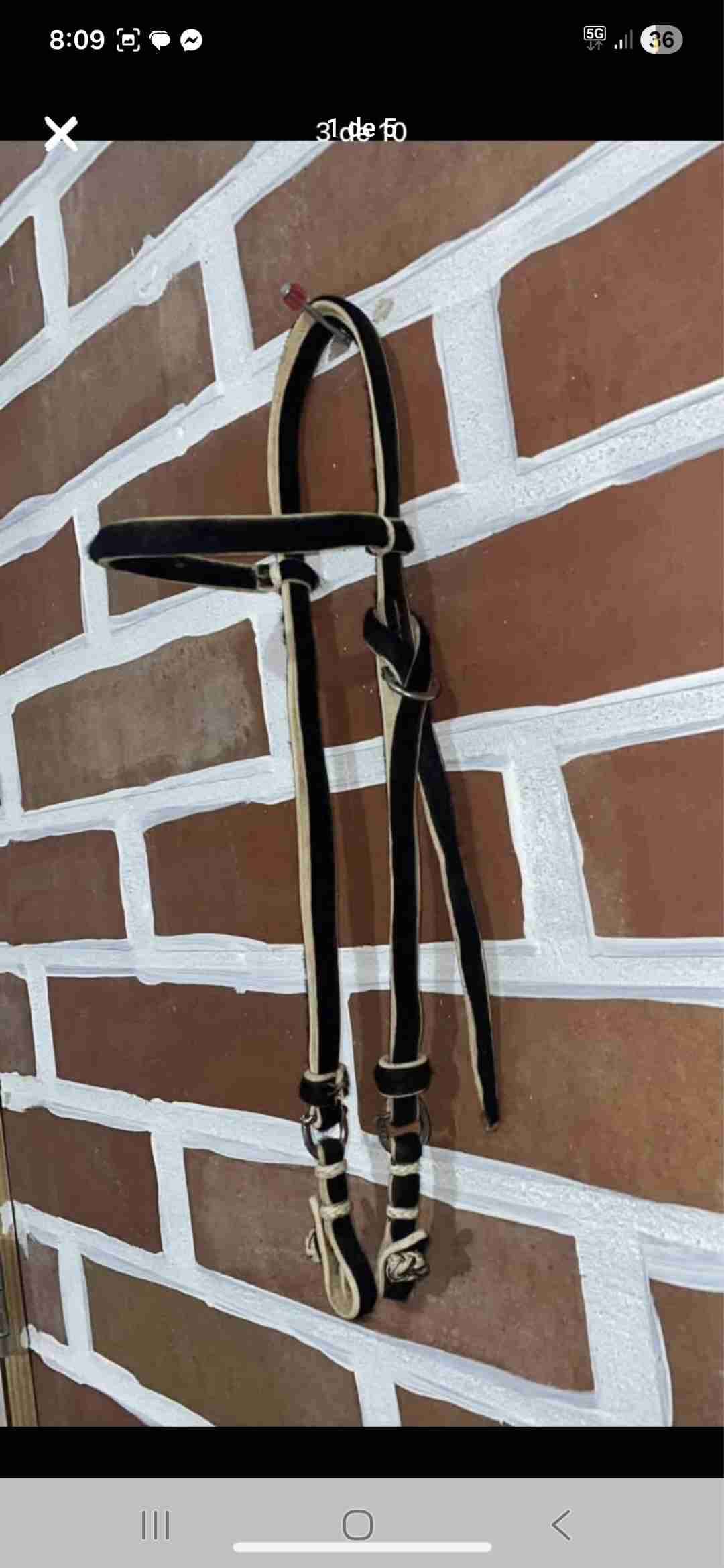 Cabezal en cuero para caballo - 1