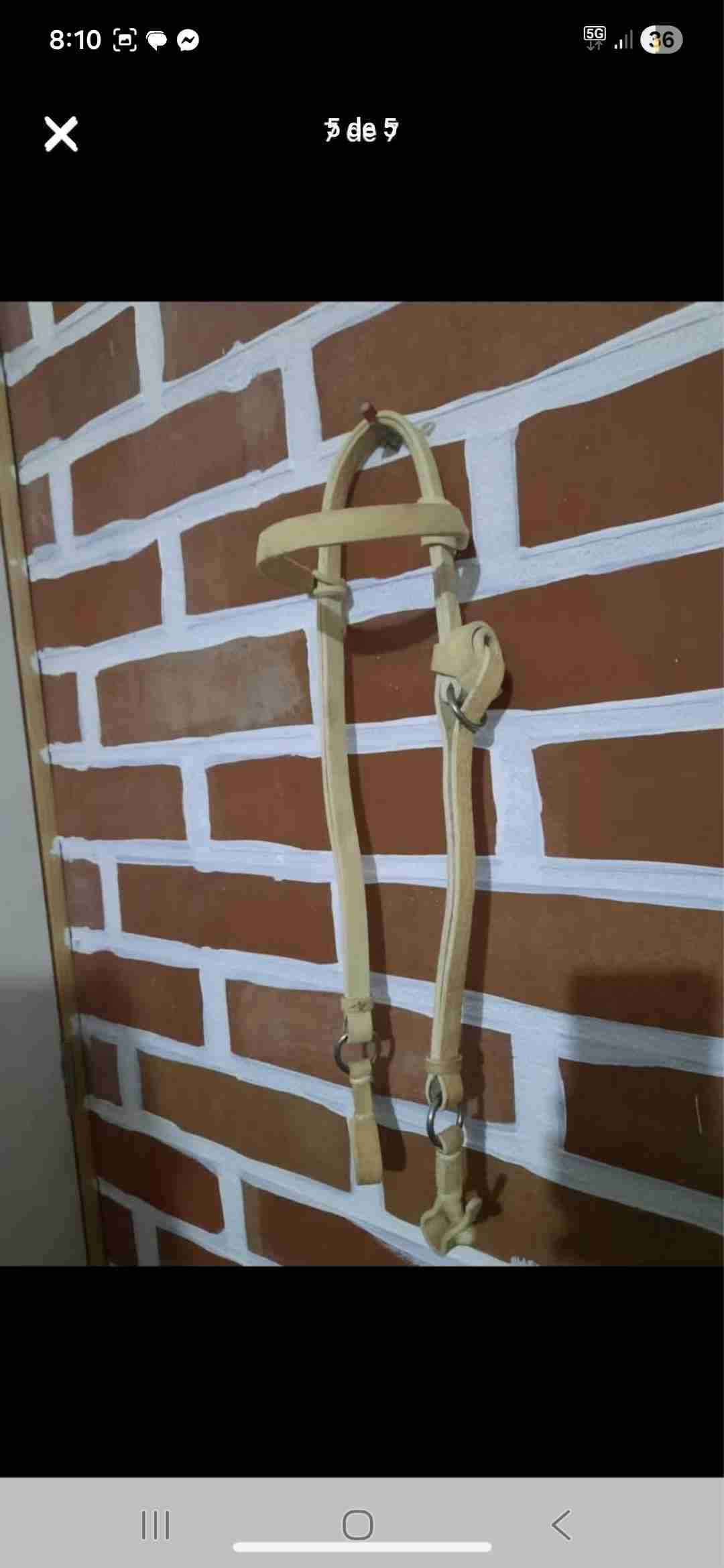 Cabezal en cuero para caballo - 2