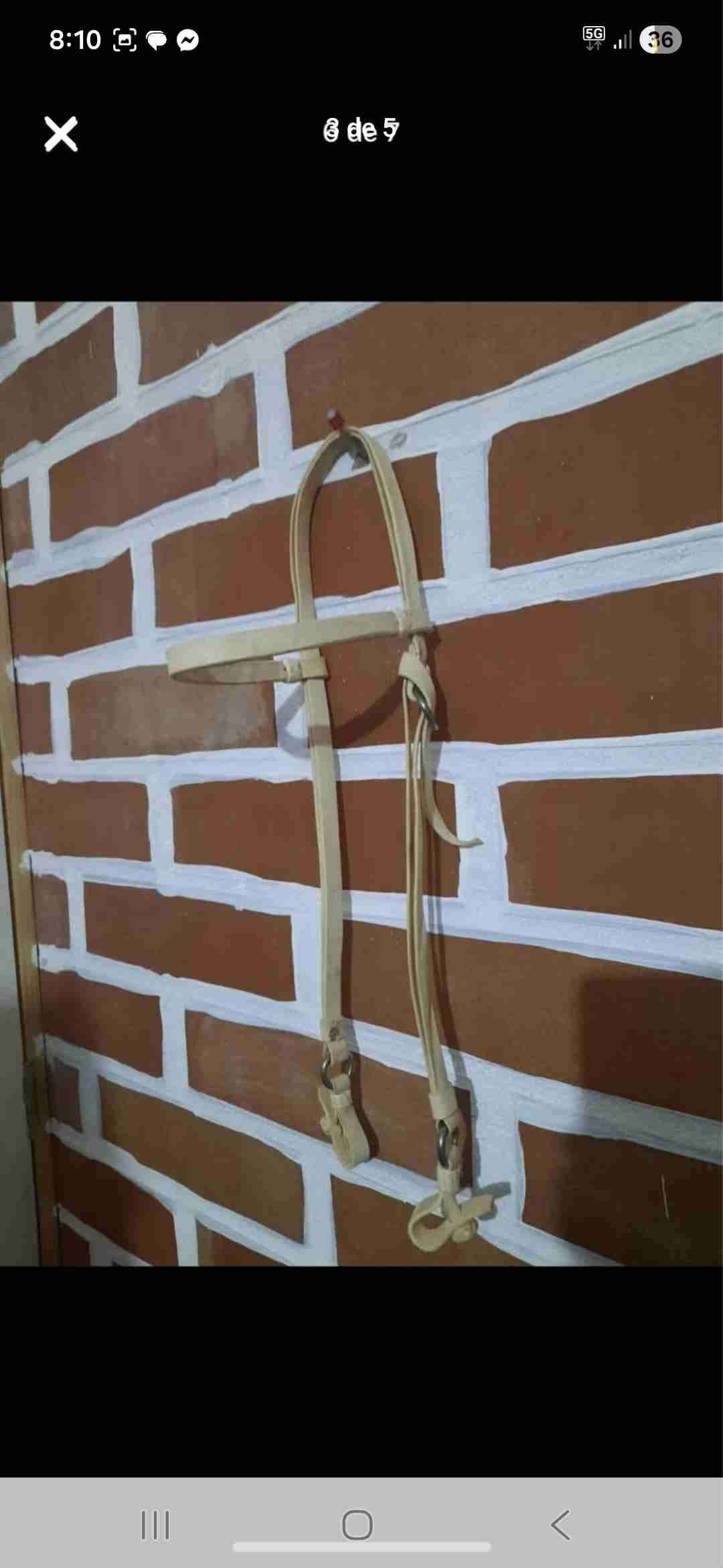 Cabezal en cuero para caballo - 3