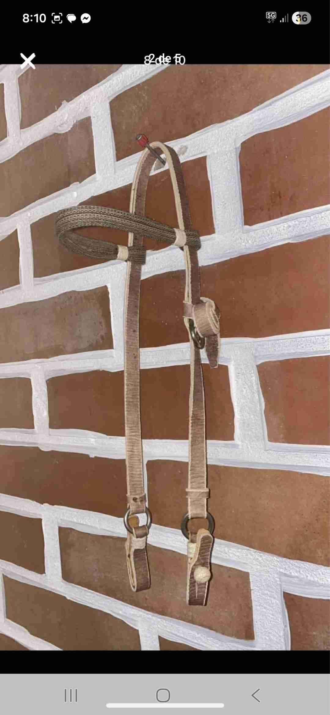 Cabezal en cuero para caballo - 4