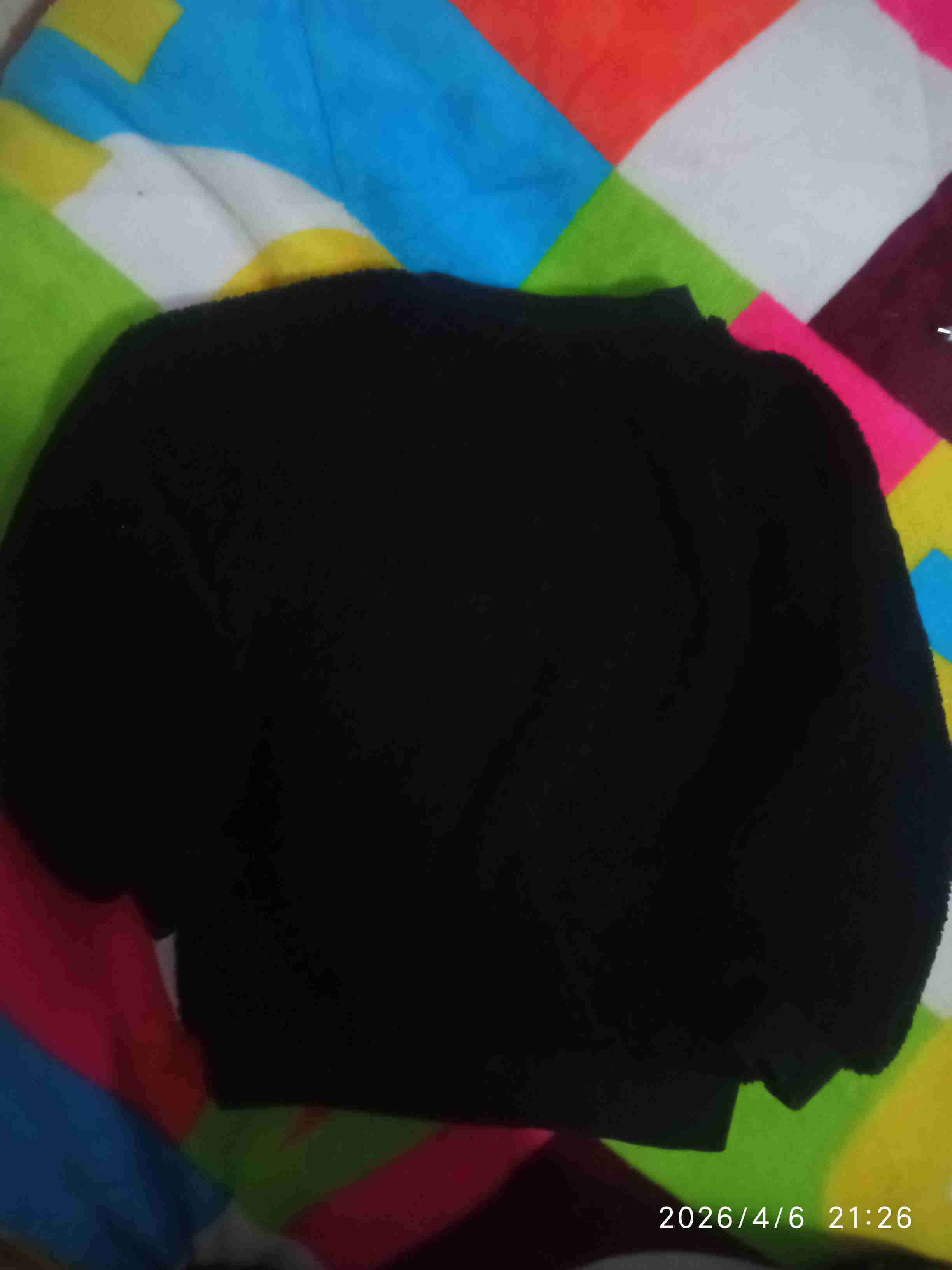 Polerón con diseño de pato forrado - miniatura 2