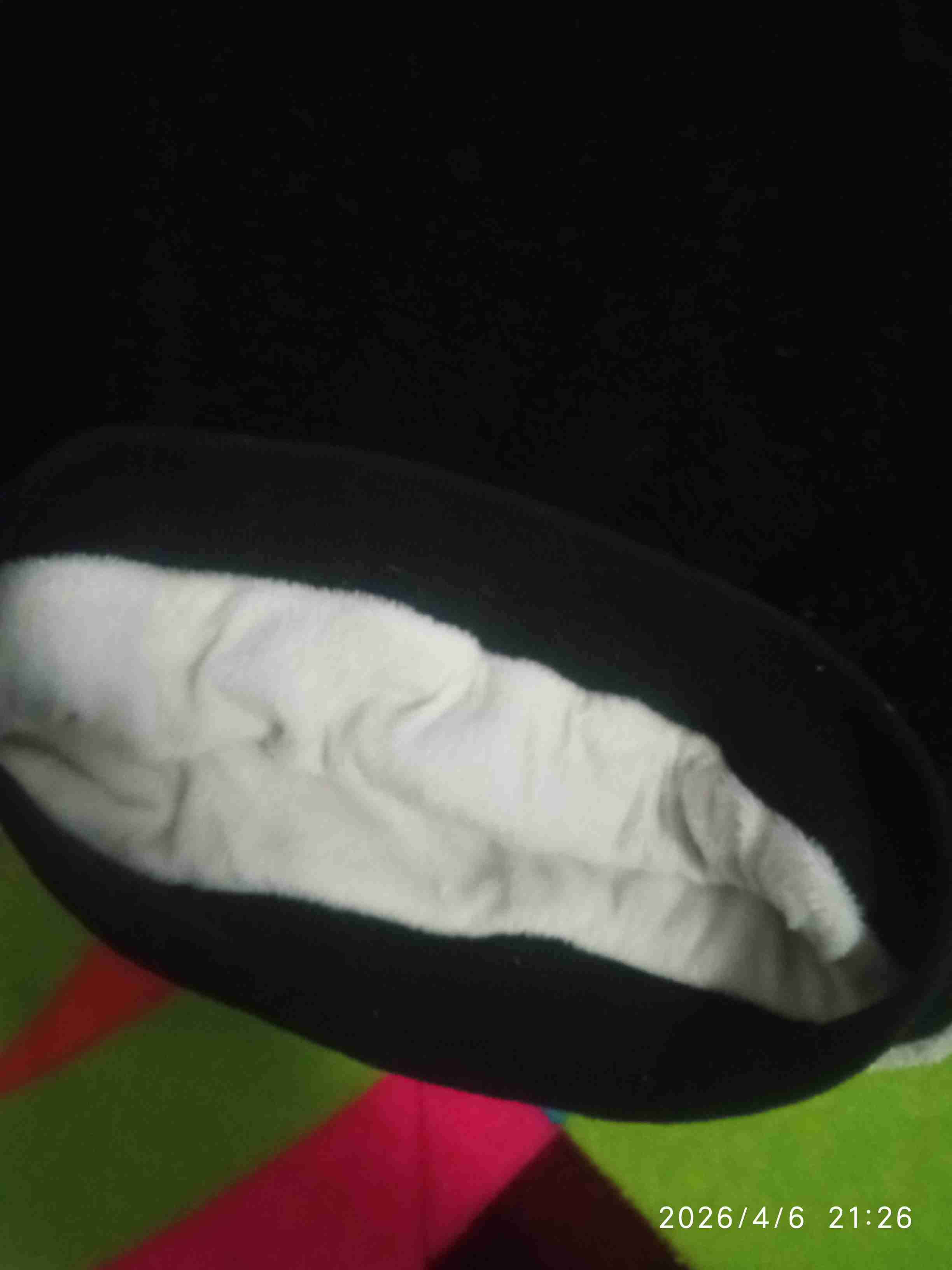 Polerón con diseño de pato forrado - miniatura 3