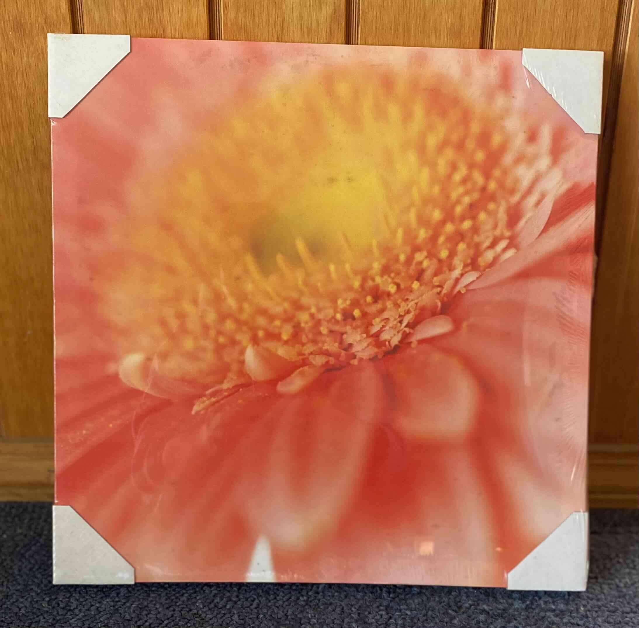 Cuatro Cuadros Decorativos de Flores - miniatura 1